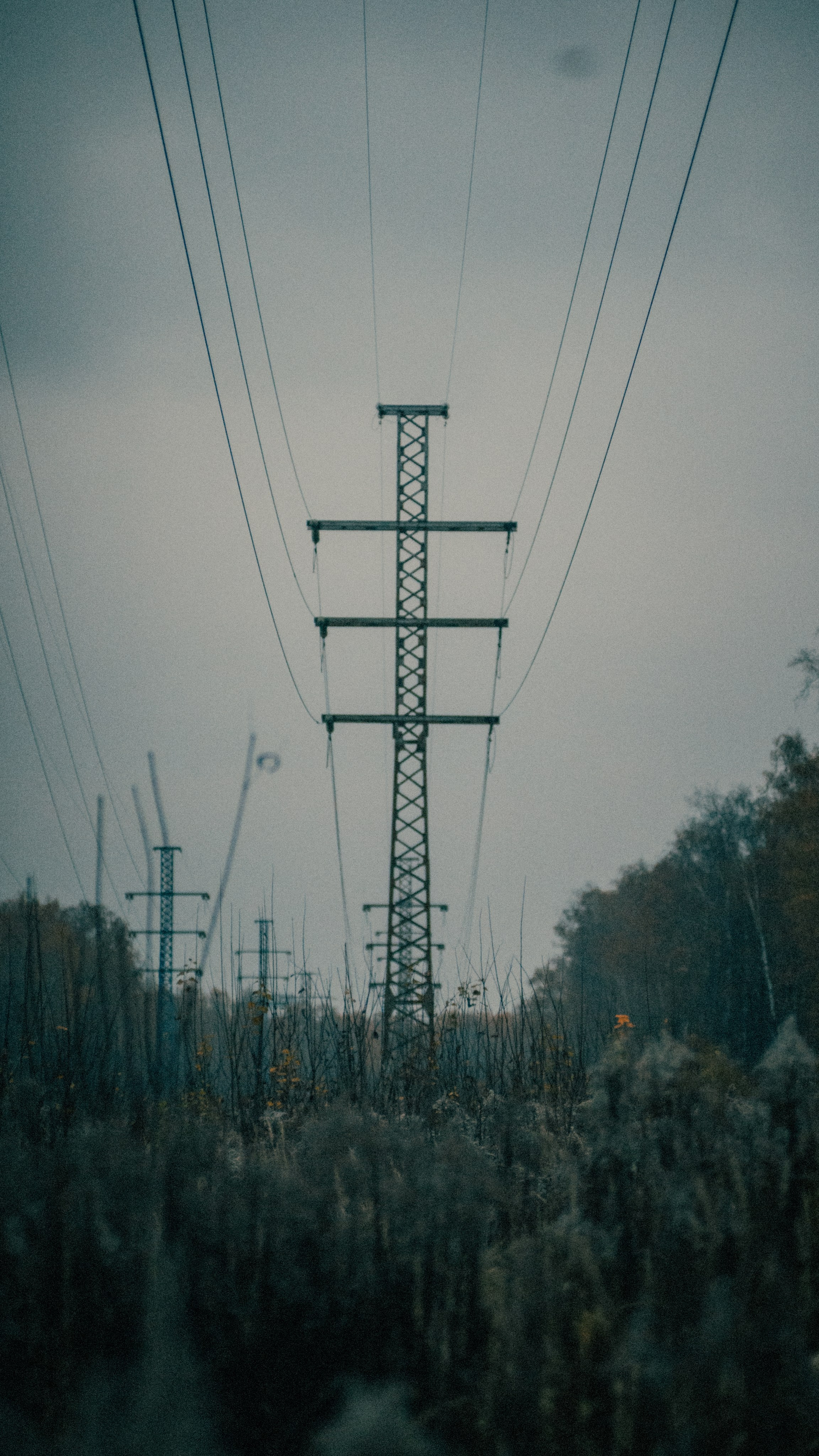 Autumn mood. MadGoose — Street photographer