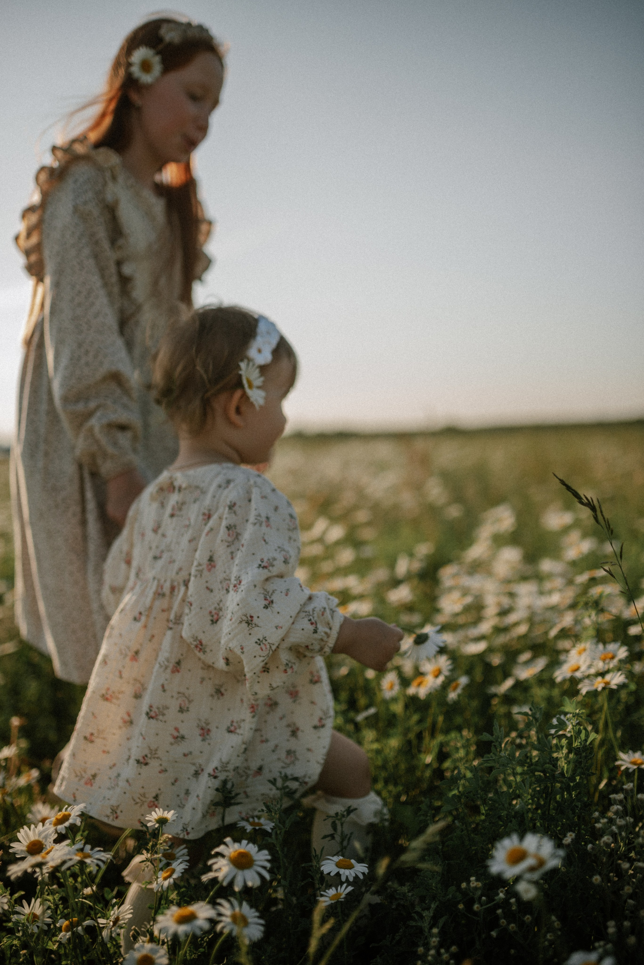 Ида, Мира и ромашки. Свадебный и семейный фотограф Кожевникова Лариса