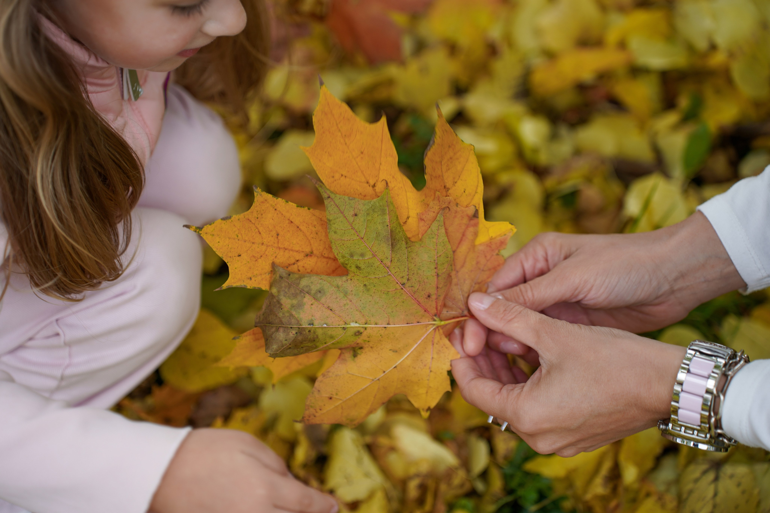 Семейная фотосессия в Абрау-Дюрсо. Фотограф Новороссийск | Геленджик и ЮФО Эльвина Ясинская