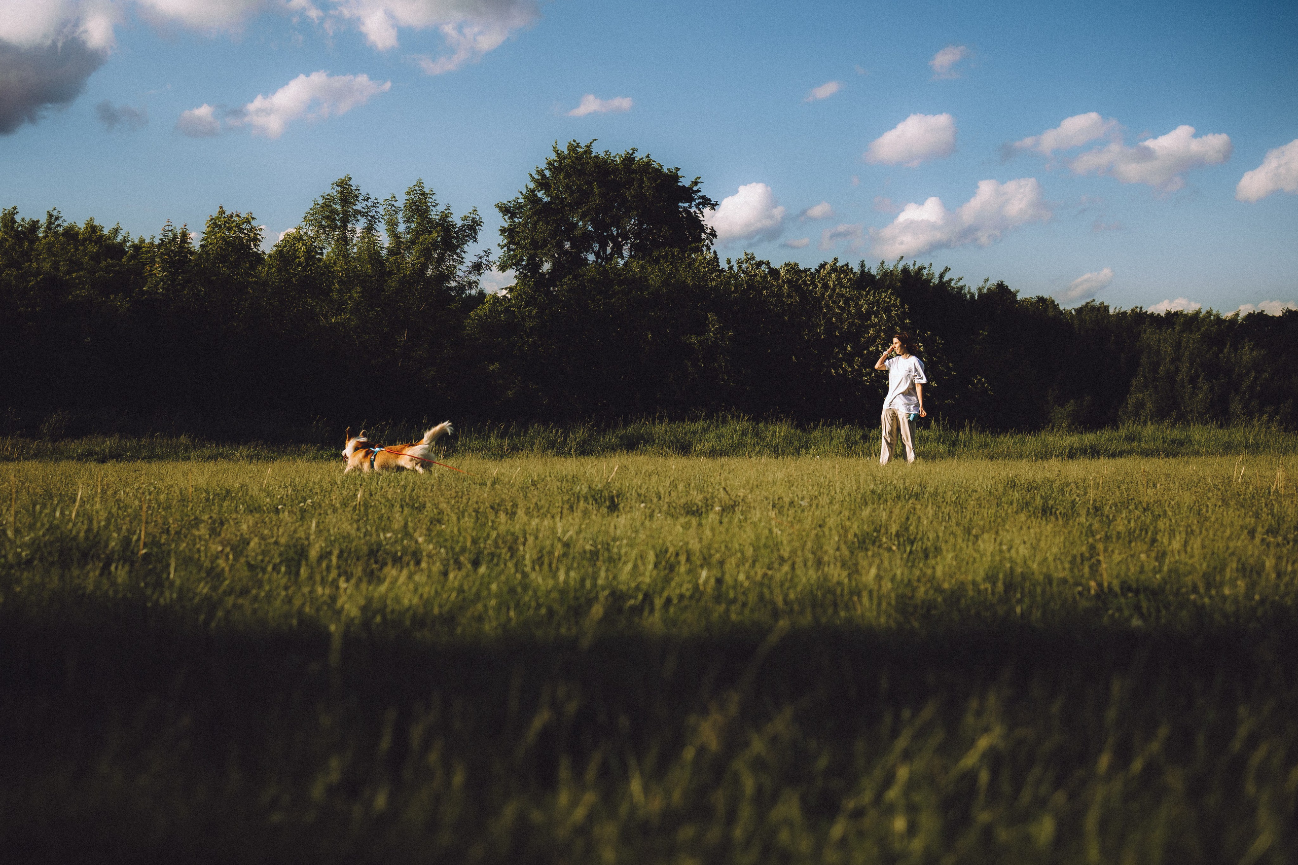 Вирджик и его семья