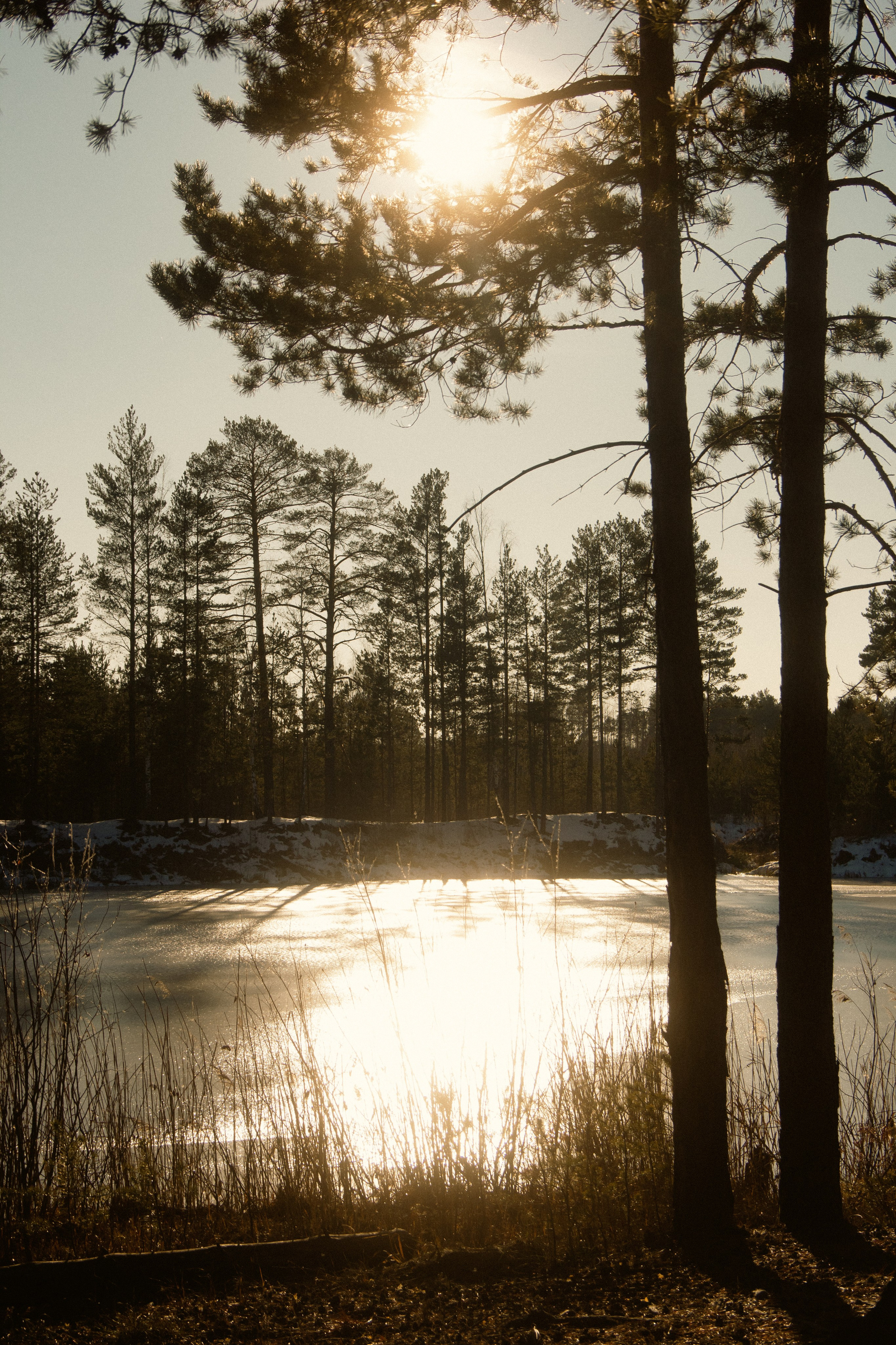 Природа/Животные