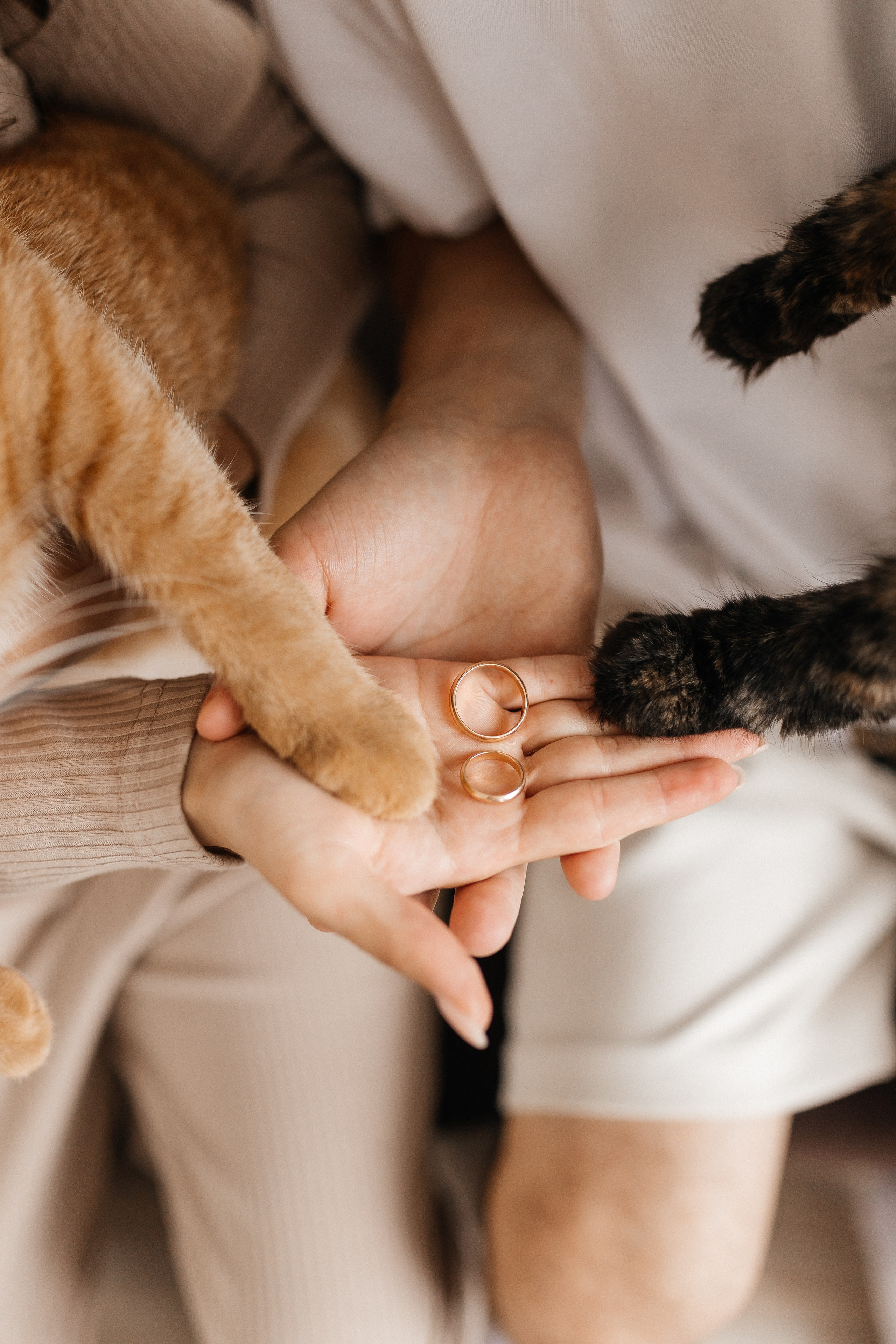 Ты-мой дом. Свадебный фотограф Нижний Тагил Екатеринбург Серёдкина Виктория