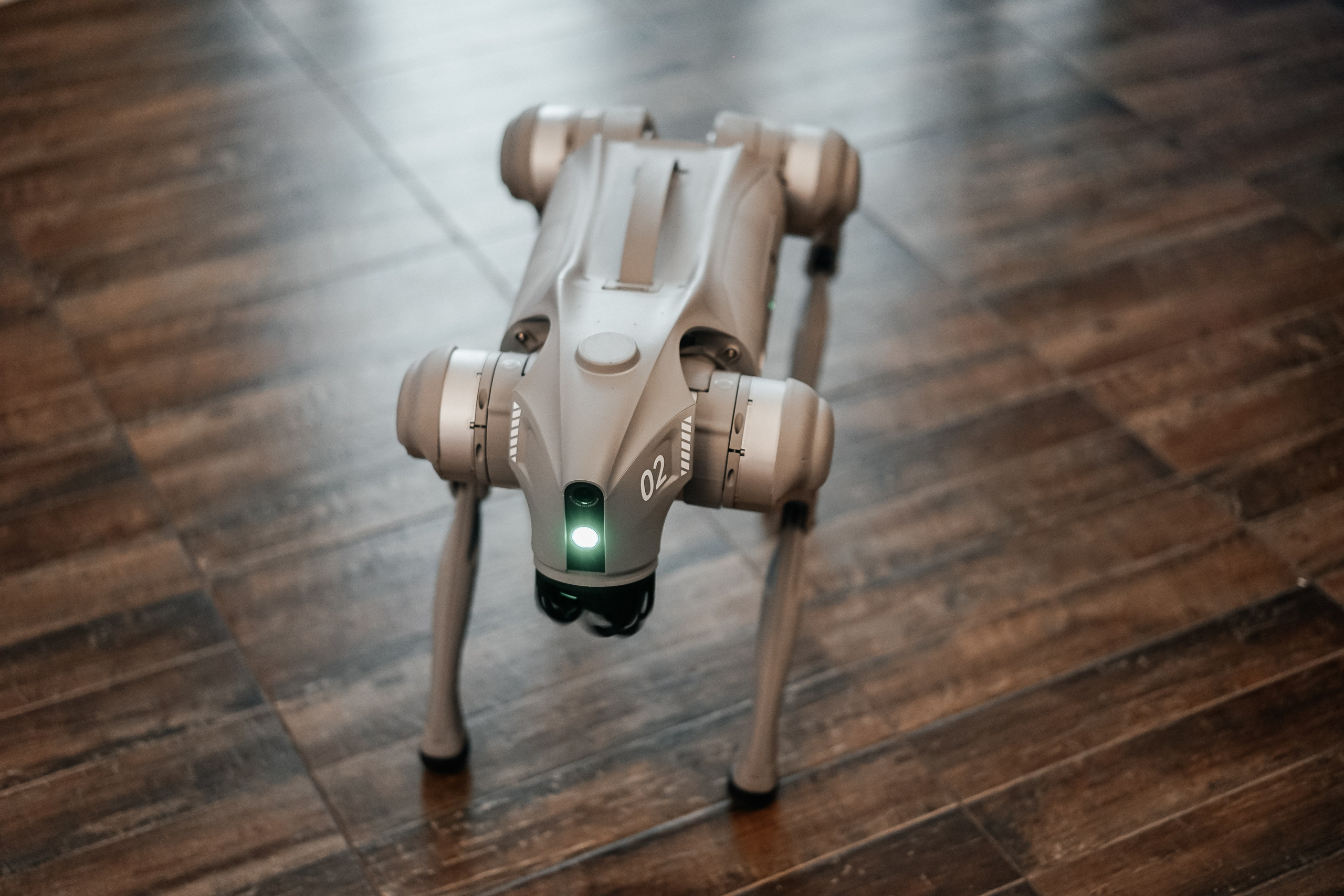 ВИРТУАЛИТИ | Смоленск. Фотограф и видеограф Смоленск | Студия Цезарь