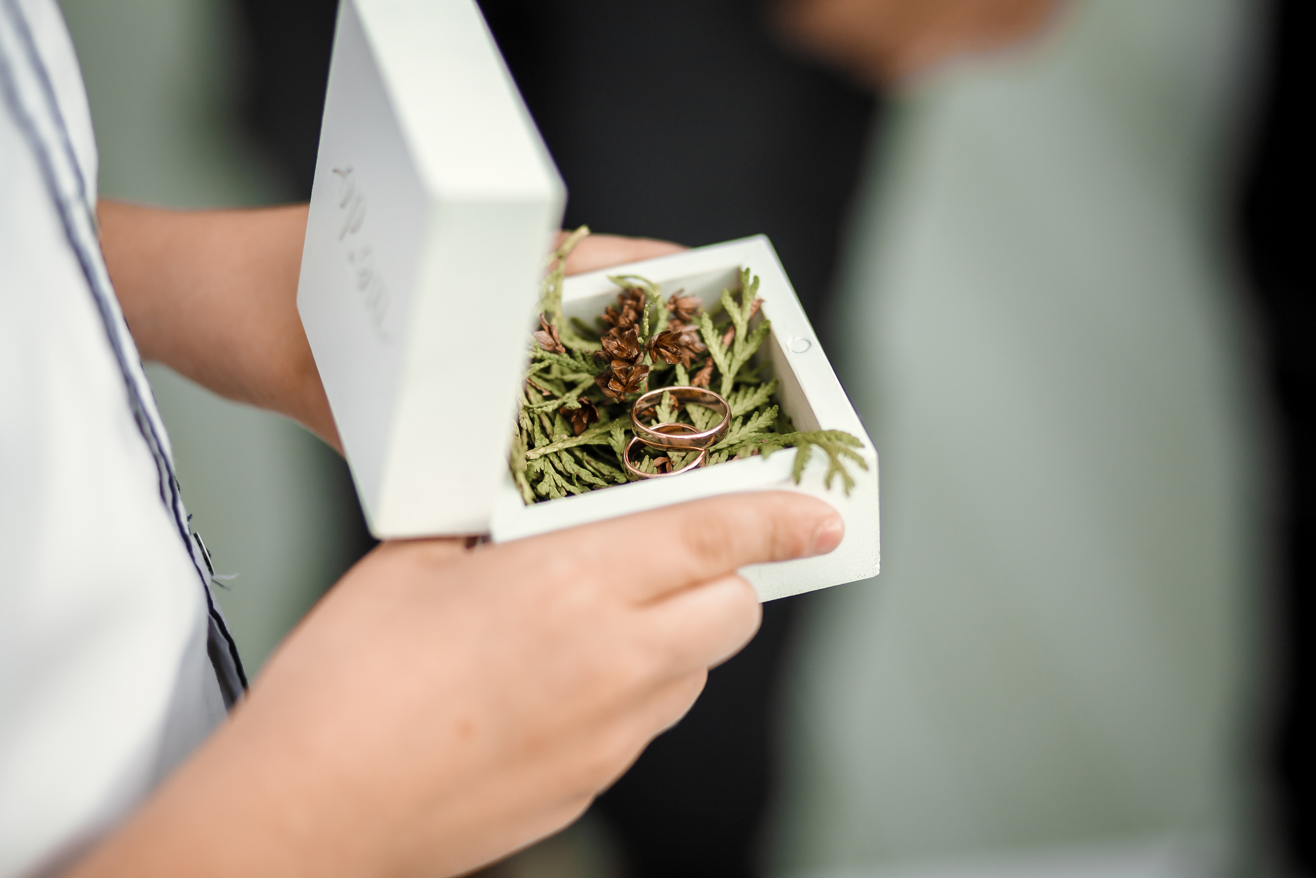 Иван & Валерия. Wedband.by Свадебный фотограф Анатолий Матюшонок