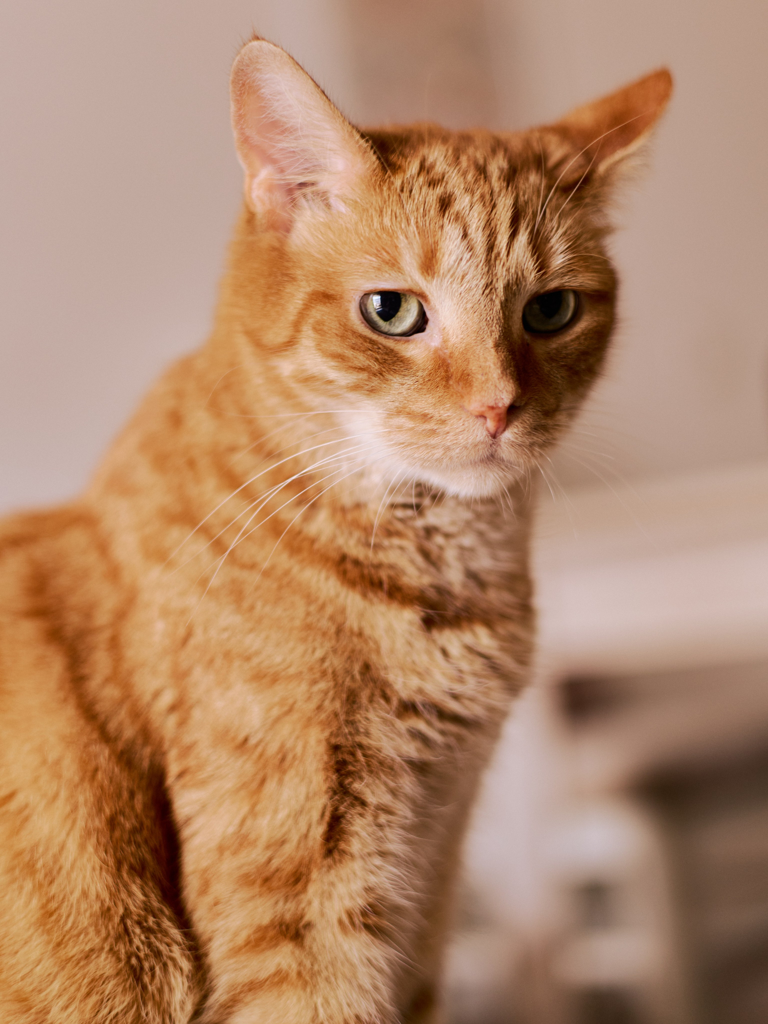 Другое 3. Jorgis Talè — photographer, kind person, teacher of arts and other mag