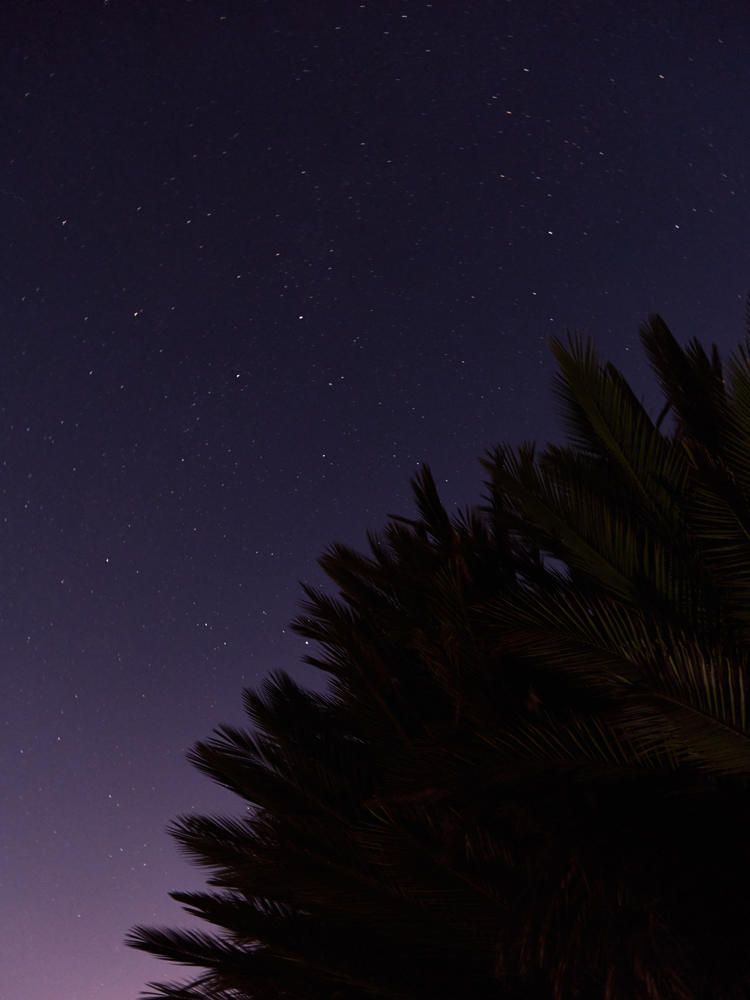 Другое 3. Jorgis — фотограф в Хургаде / обучение фотографии