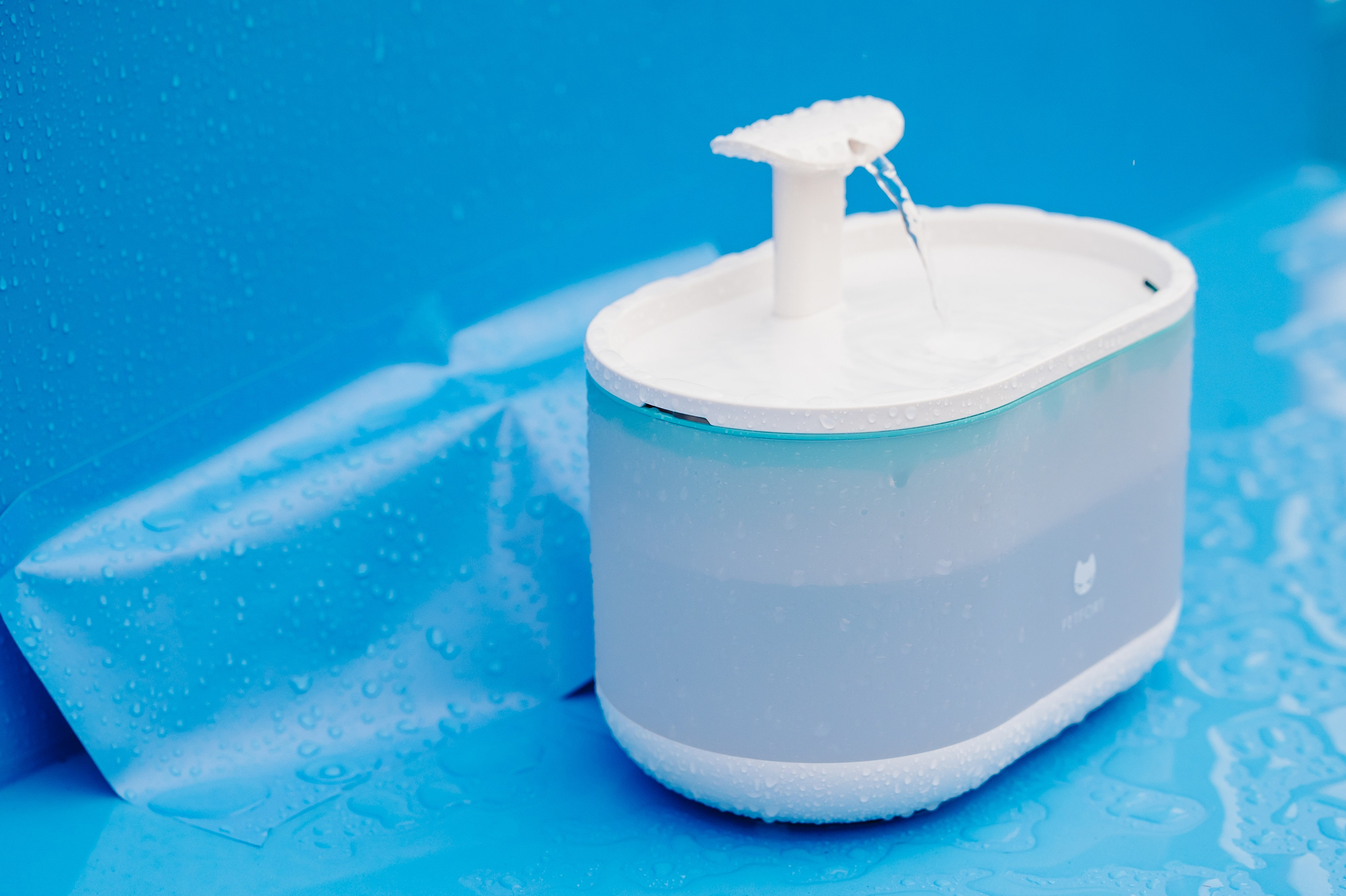 «Яндекс Лавка» на UralMusicNihgt. DariaRock / Фотограф Екатеринбург