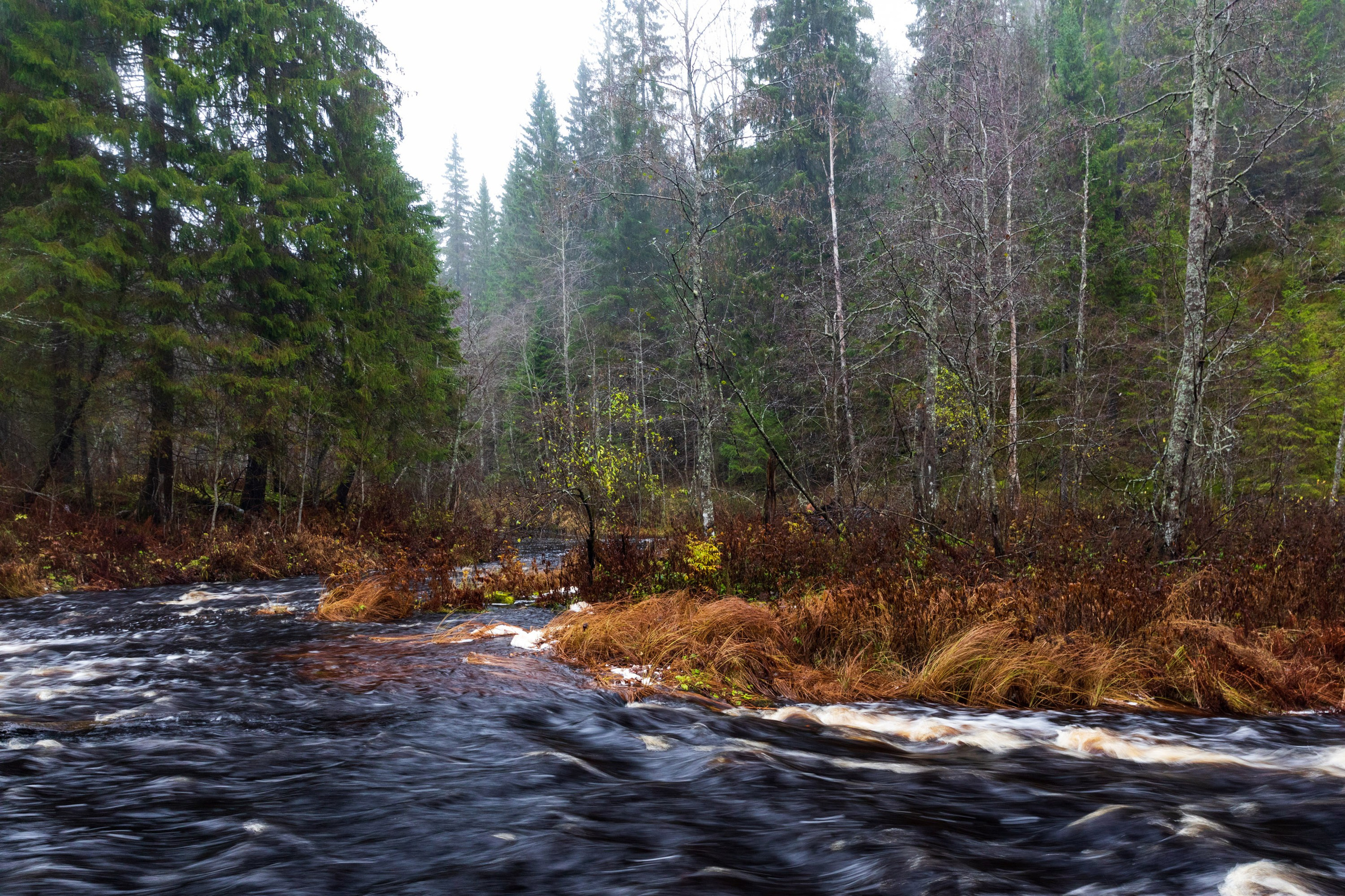 Большое путешествие в Карелию на машине. Марина Захарова — Фотограф. Москва / Marina Zakharova — Photographer