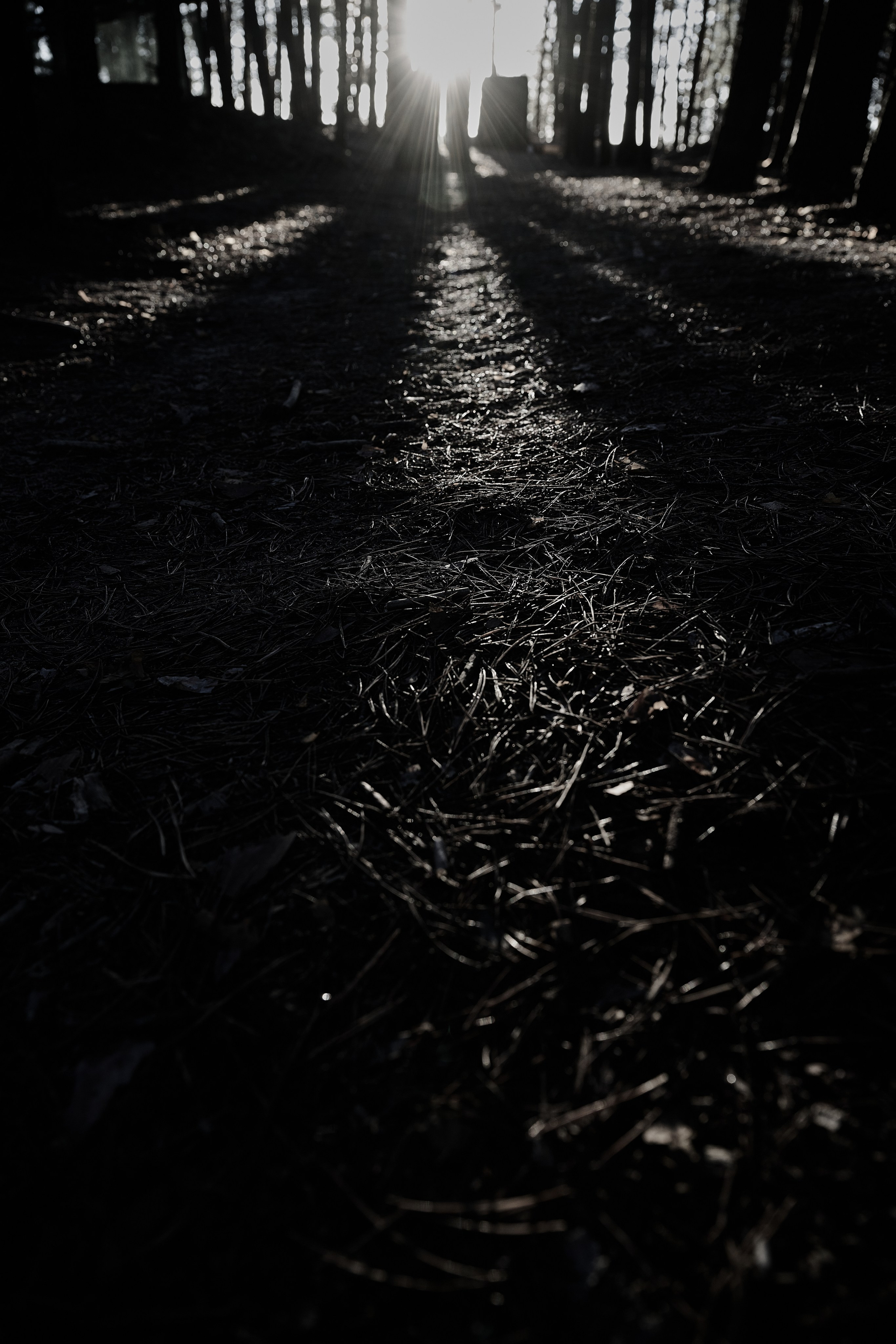 Дороги Территорий. Фотограф Роман Адлер