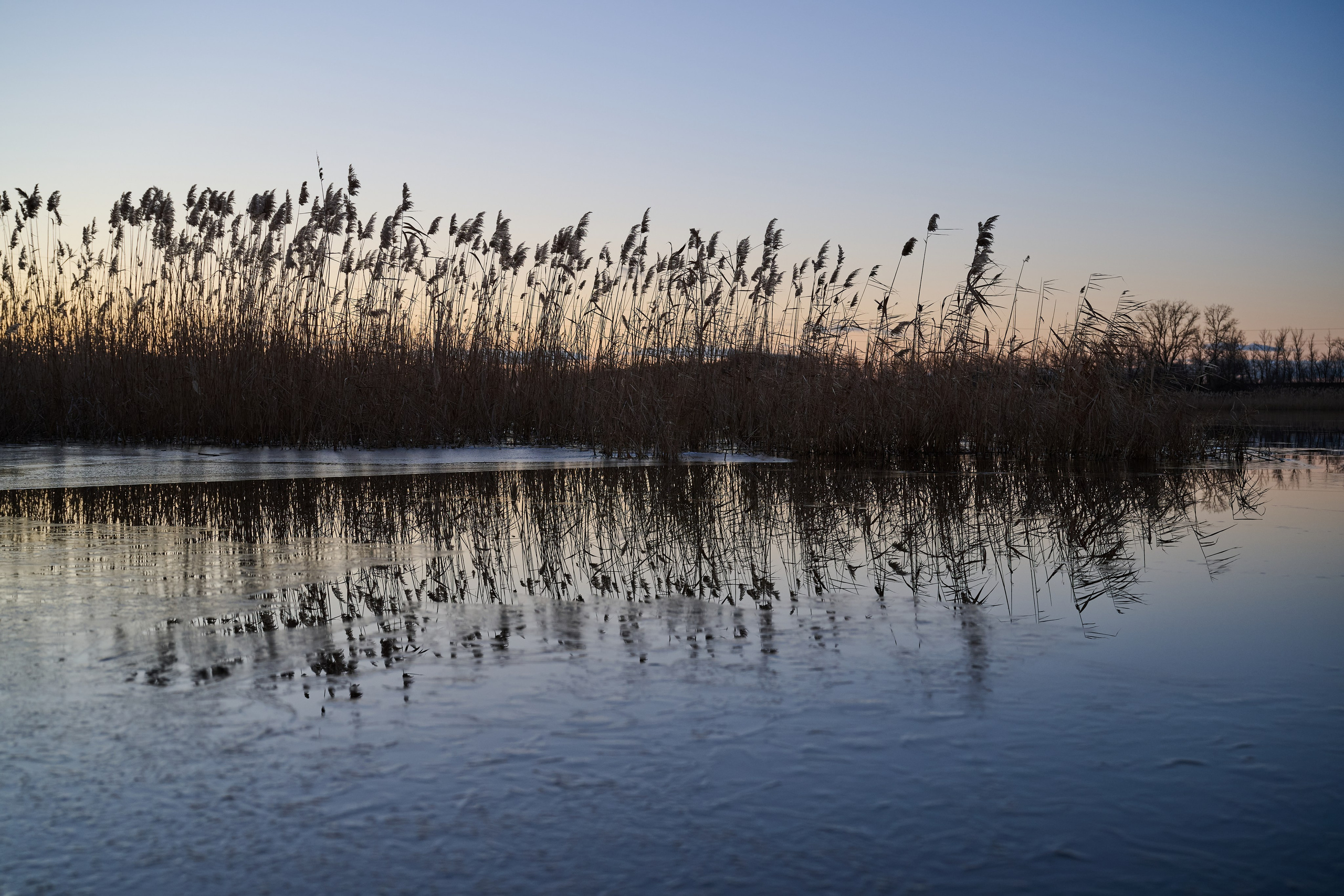 Дороги Территорий. Фотограф Роман Адлер