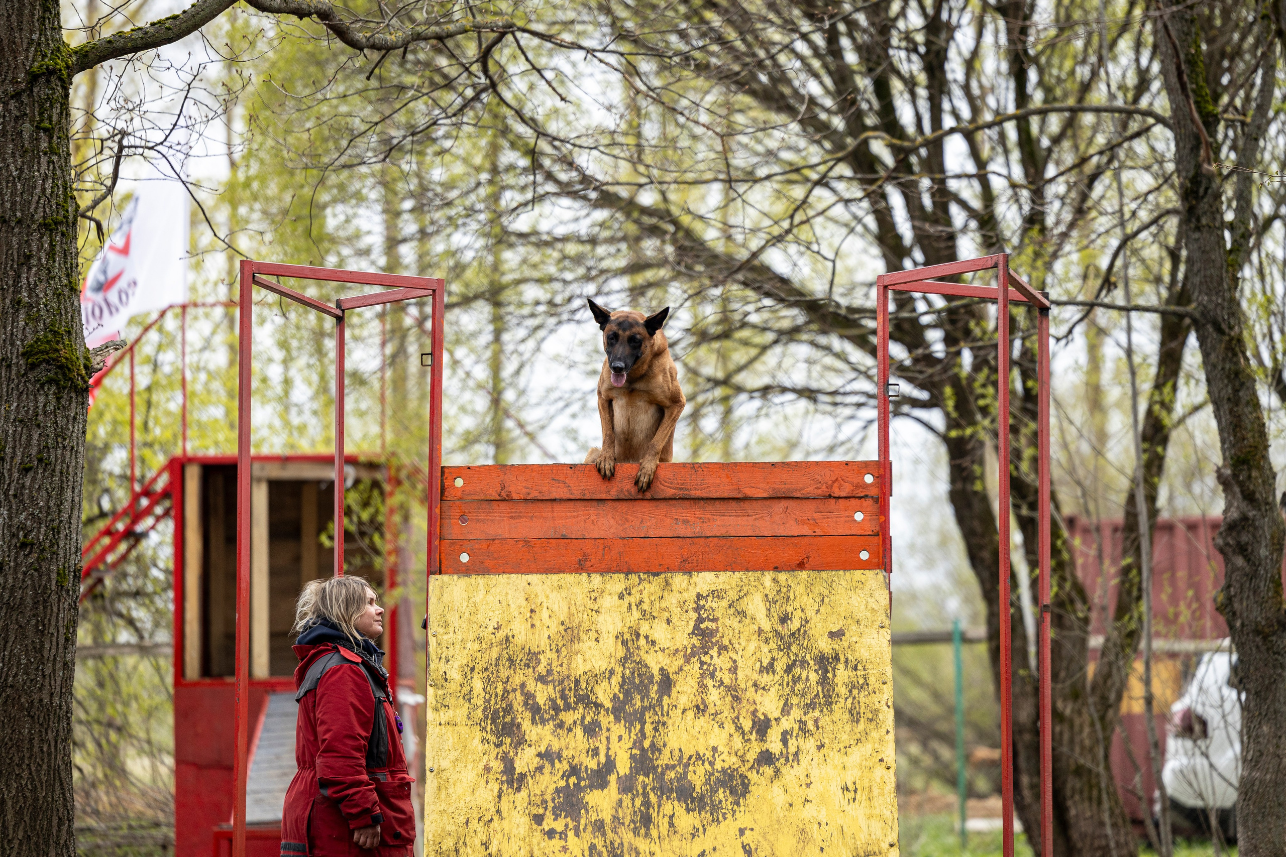 Квалификационные состязания по мондьорингу г. Вологда 11.05.24. Фотограф-анималист Анна Маринич