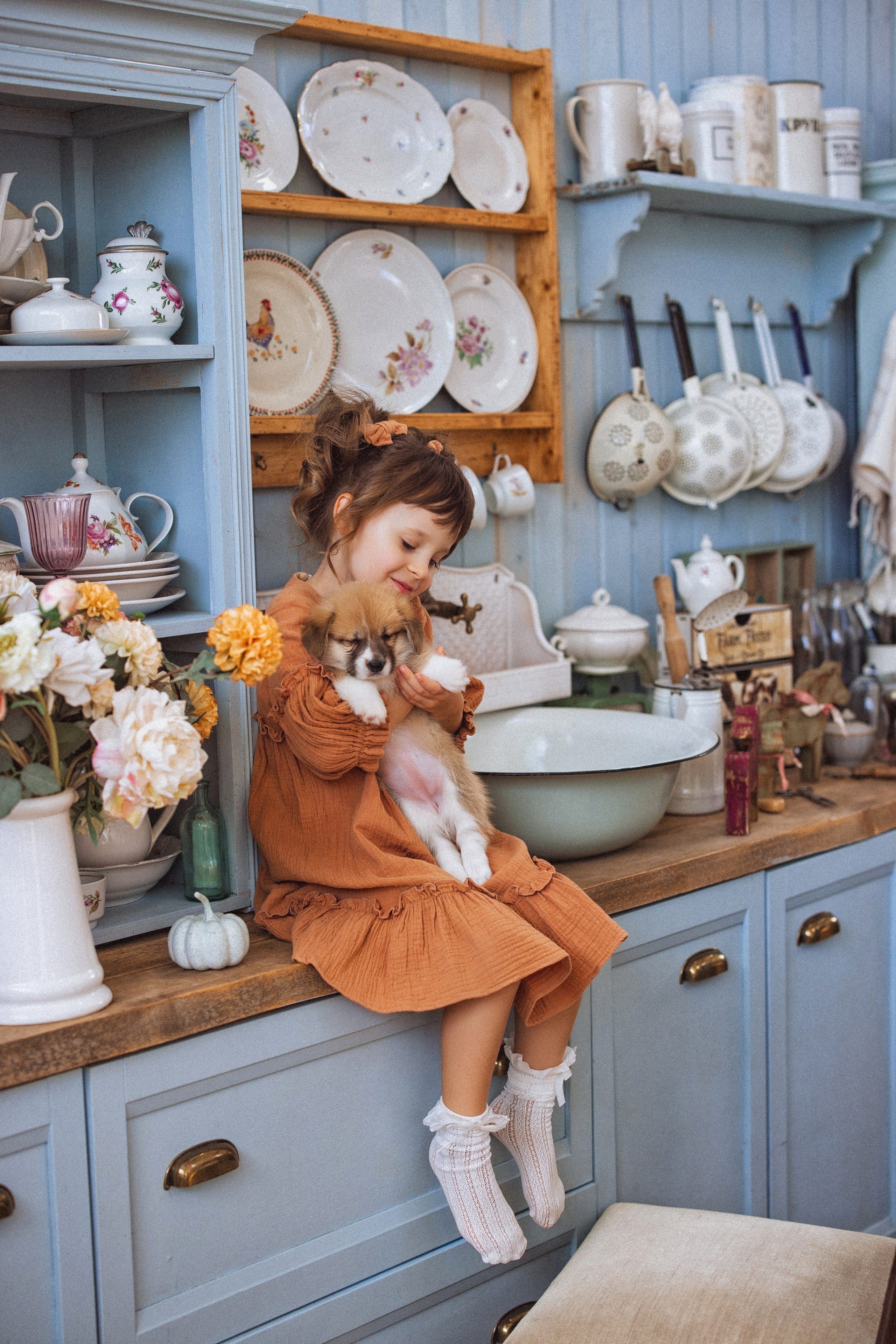 Фотосессия с щенками Корги, в фотостудии Ольги Сурухановой, город Краснодар. Семейный и детский фотограф в Краснодаре Анна Трашкова