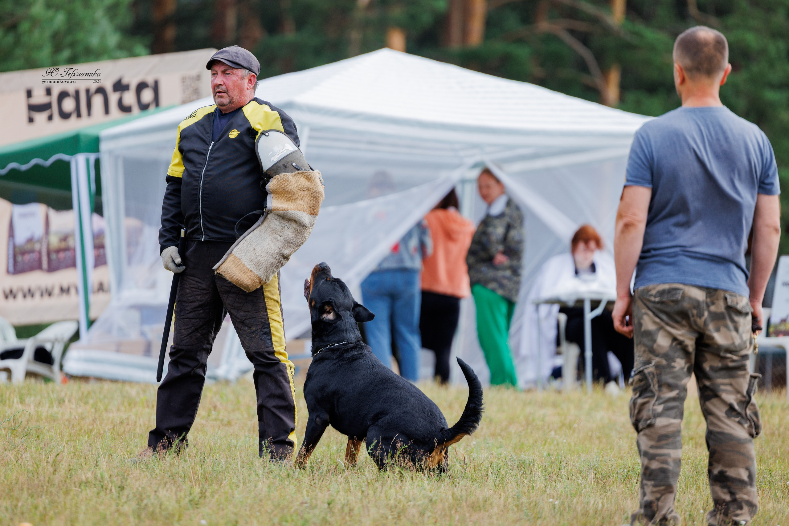ПК и КЧК ротвейлеры Тверь 6-7.07.2024. Фотограф-анималист Юлия Германика