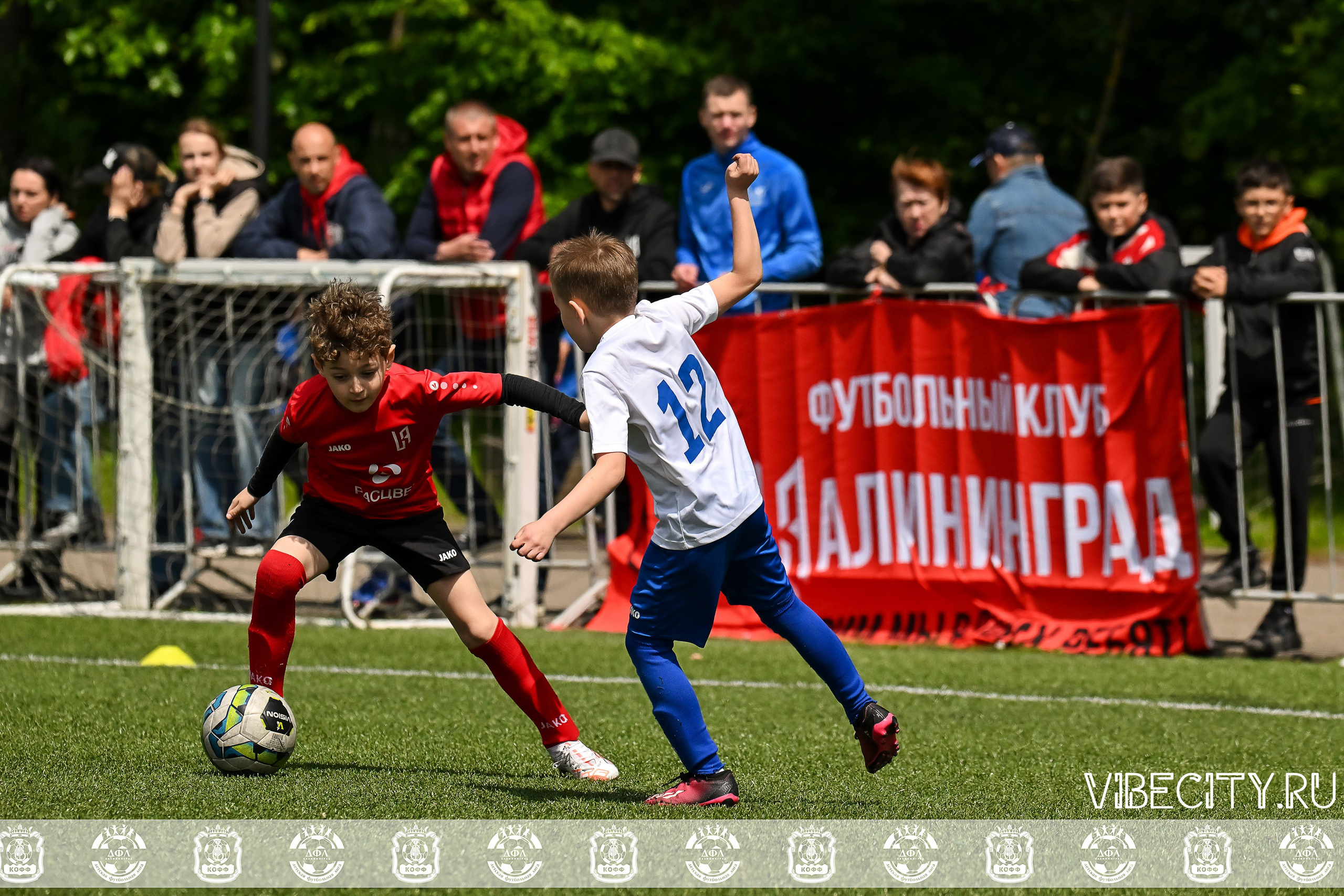 Большие Звезды светят Малым. VIBECITY.RU Вайб Сити Ру Фоторепортажи Фотоотчеты Калининград