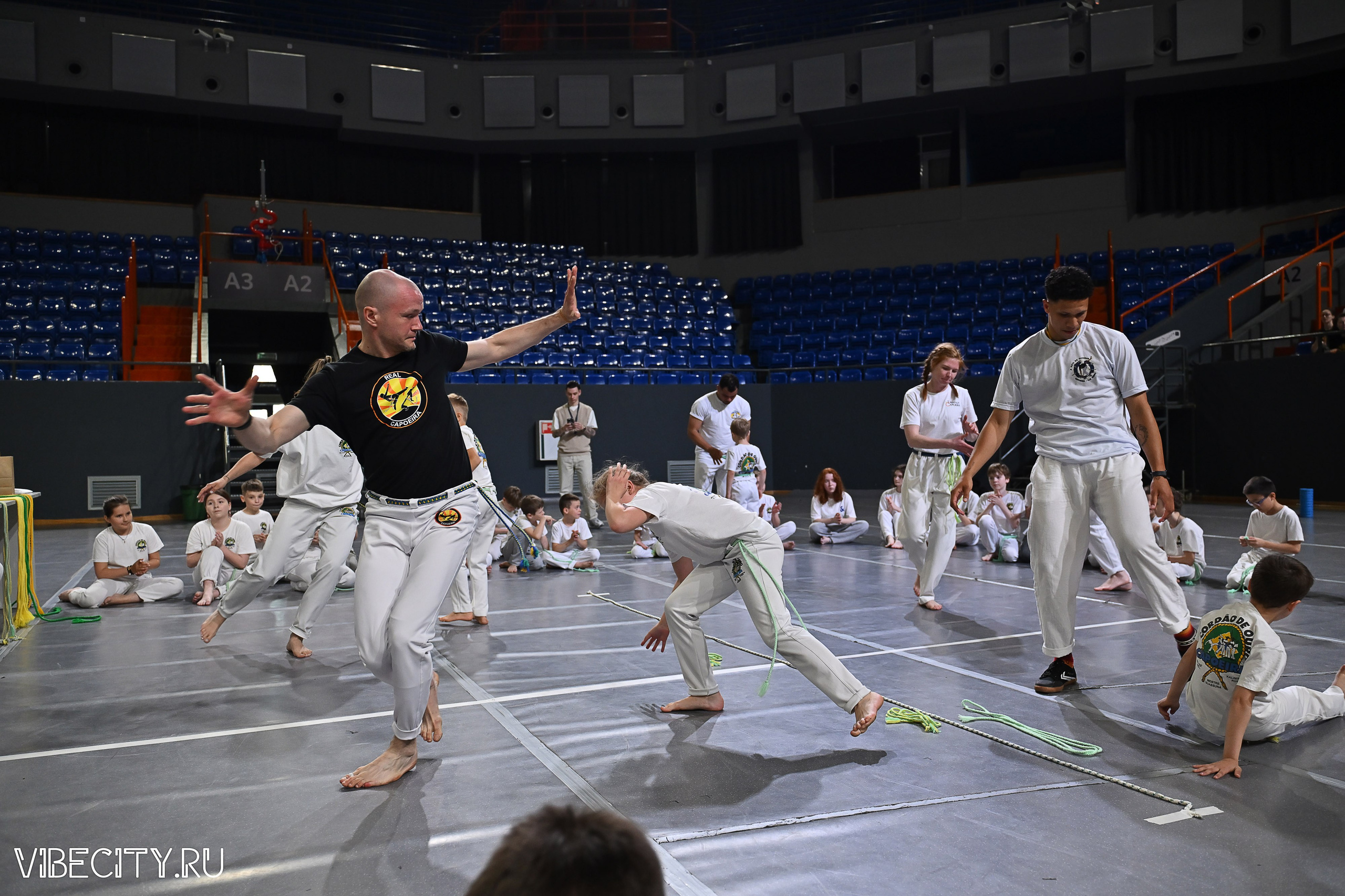 Капоэйра. Вручение поясов. VIBECITY.RU Вайб Сити Ру Фоторепортажи Фотоотчеты Калининград