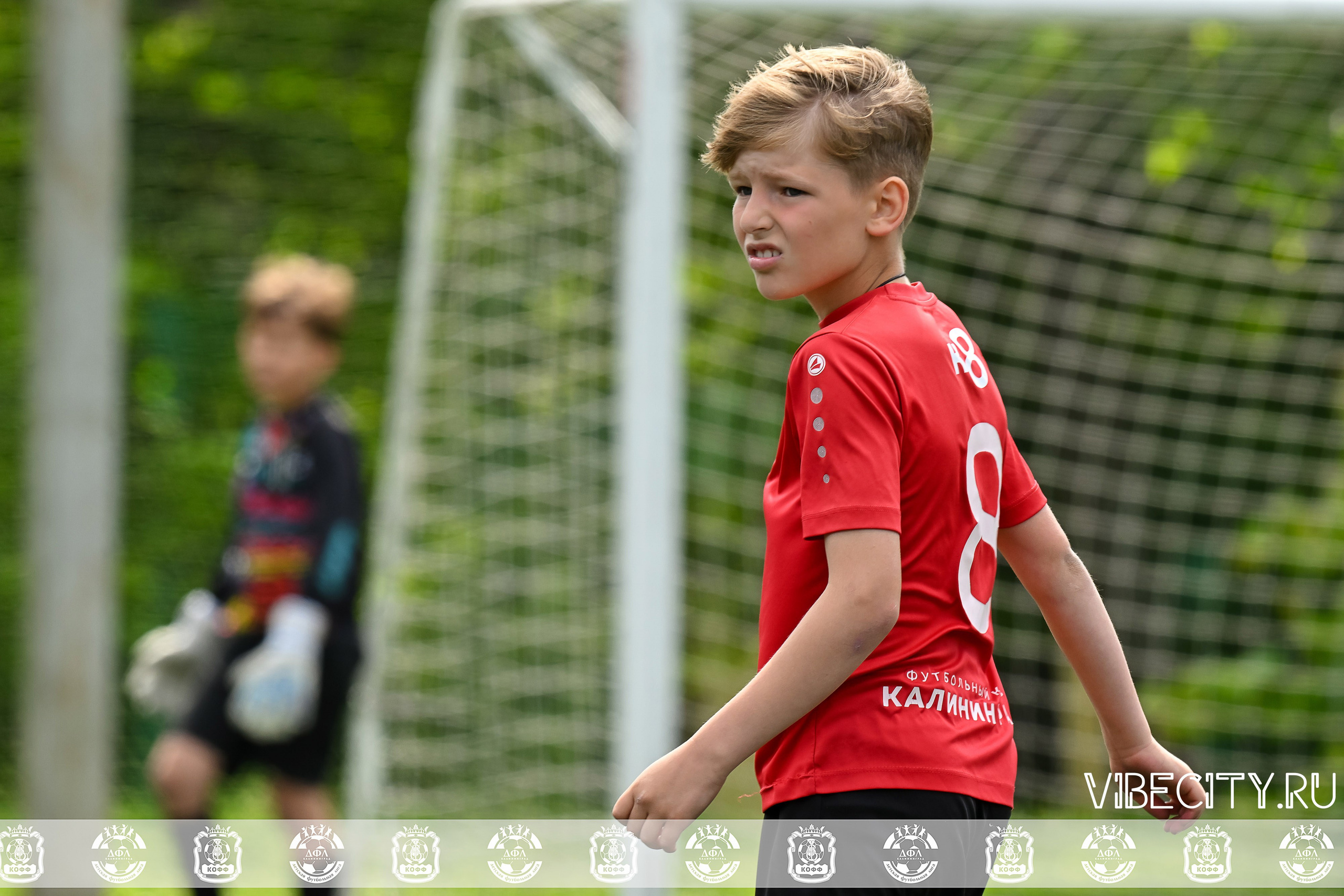 Большие Звезды светят Малым. VIBECITY.RU Вайб Сити Ру Фоторепортажи Фотоотчеты Калининград