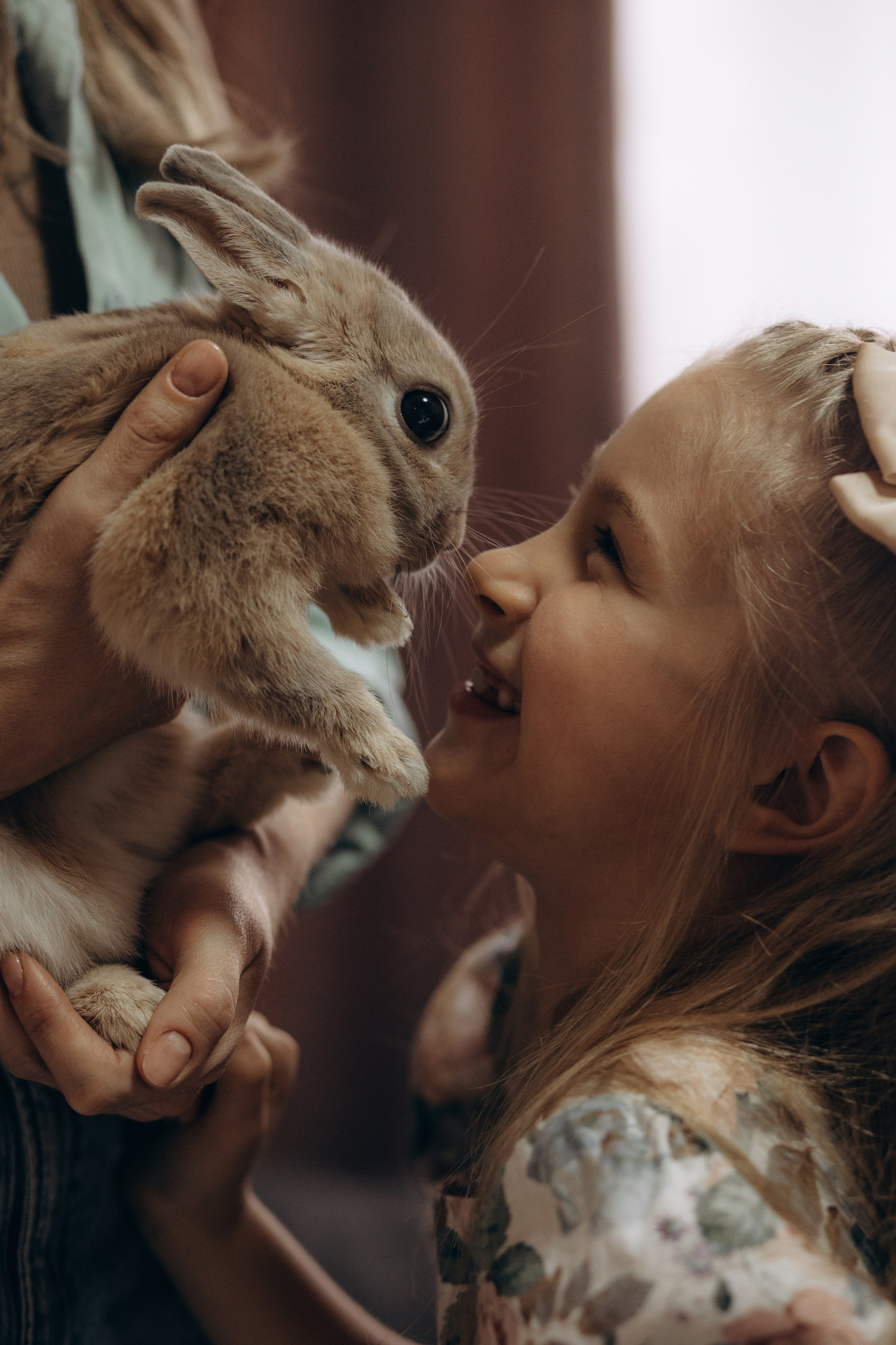 «Ушастые истории». Фотограф Алина Ионычева в Новосибирске