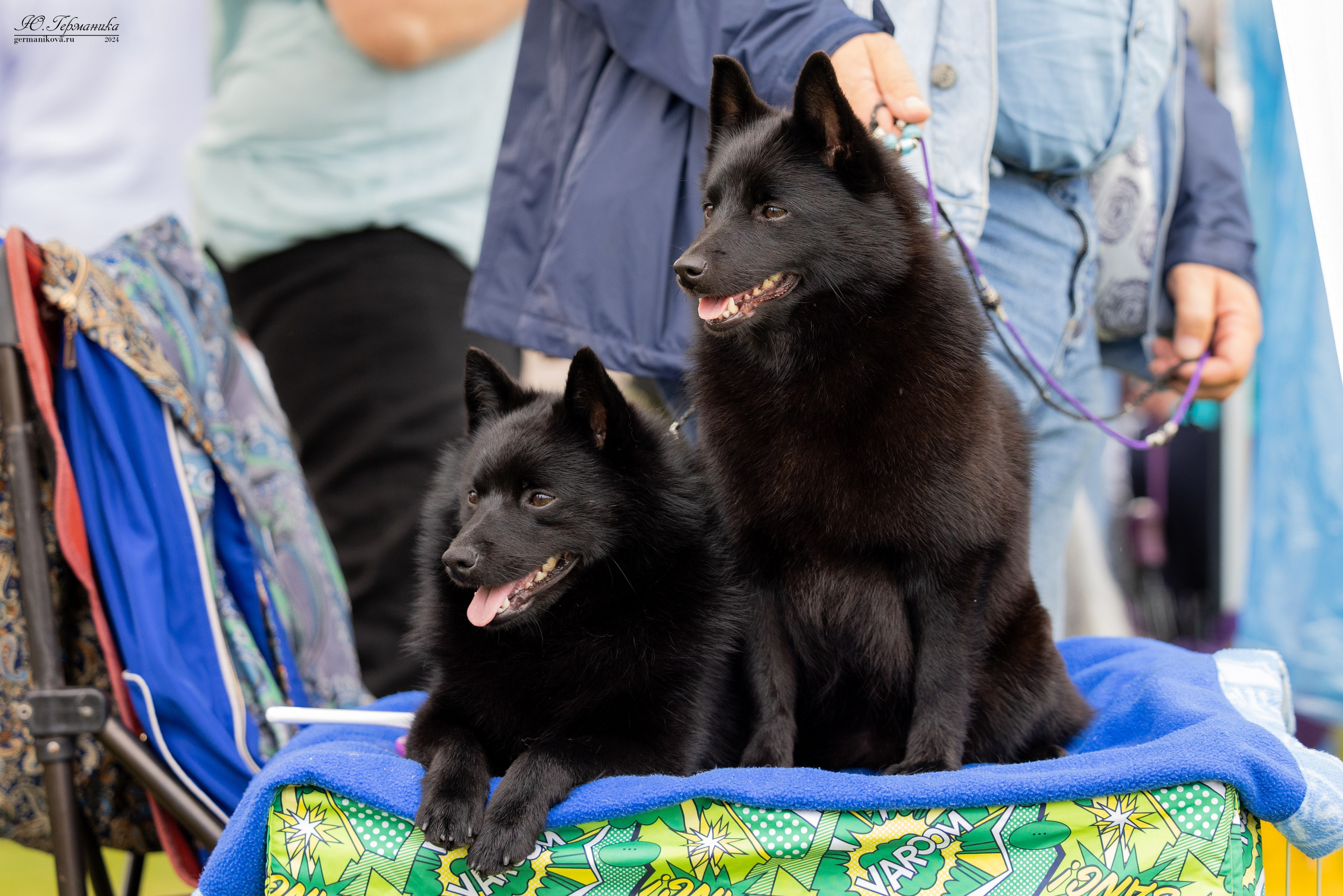 Ярославль 21.07.24 и Балашиха 13.07.24