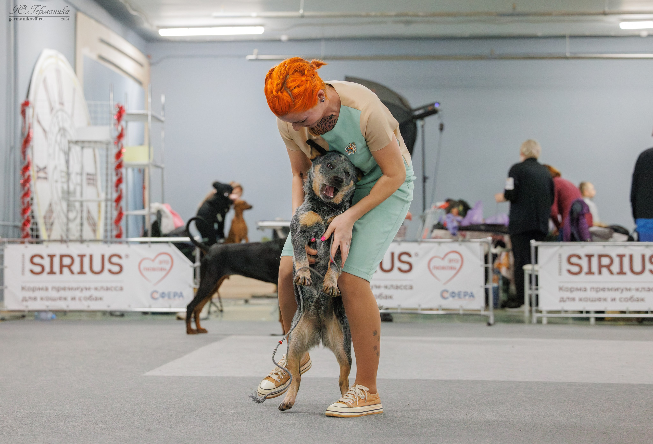 Сфера и Крокус 8,9,16 и 30.03.2025. Фотограф-анималист Юлия Германика