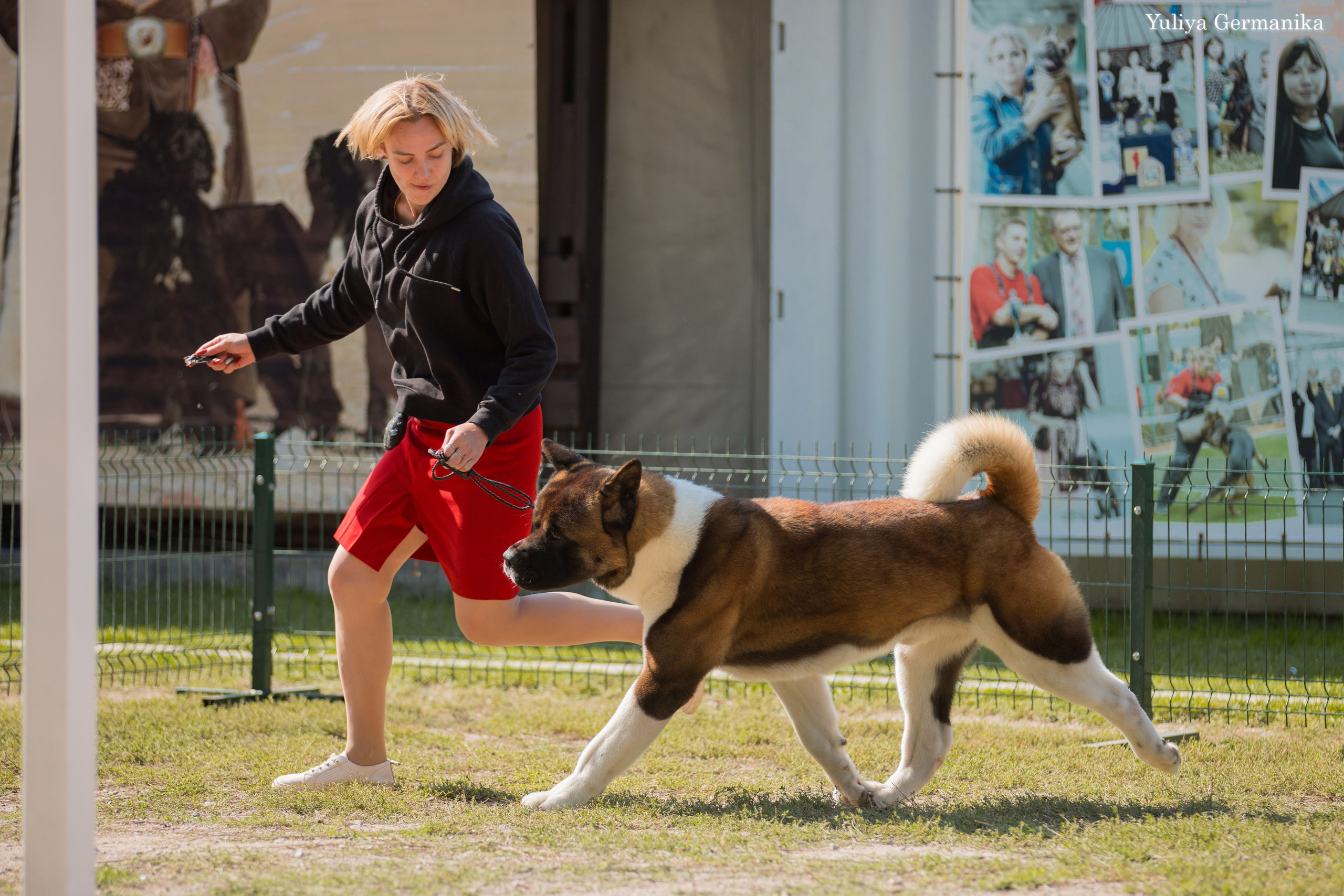 Бишкек 29.09-01.10.2023. Фотограф-анималист Юлия Германика