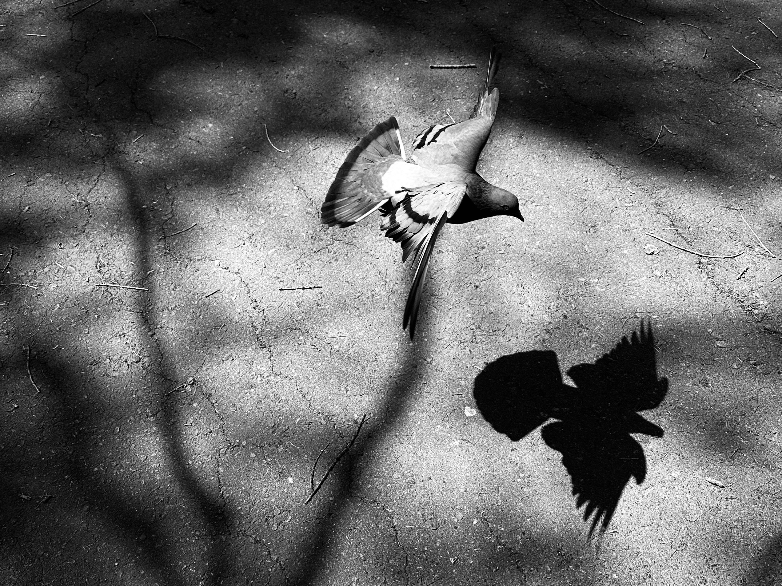 Дарья Удилова психолог психоаналити