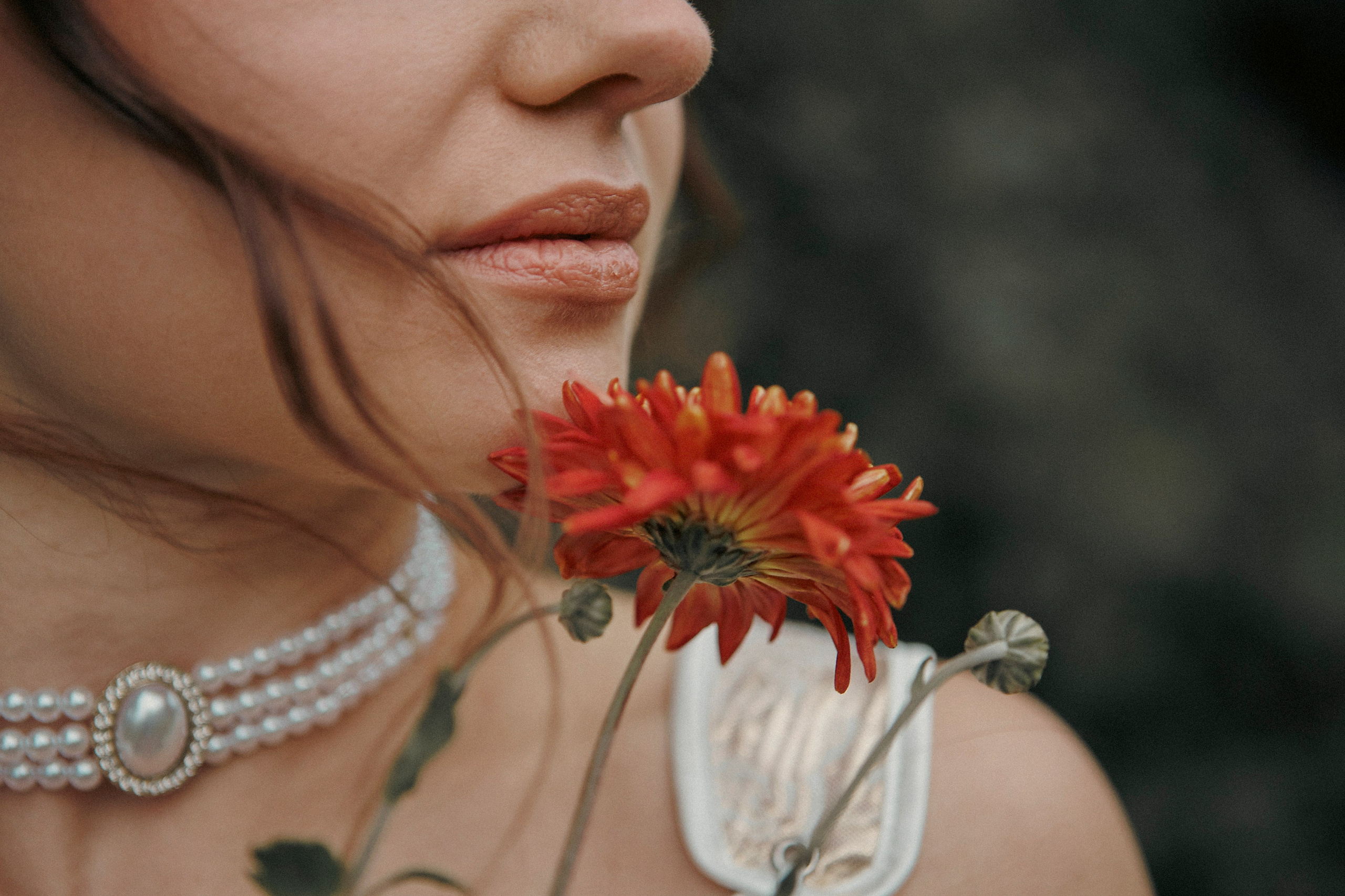 Пикник в Плесе. Олеся Ефанова фотограф Иваново, Тейково и Плёс