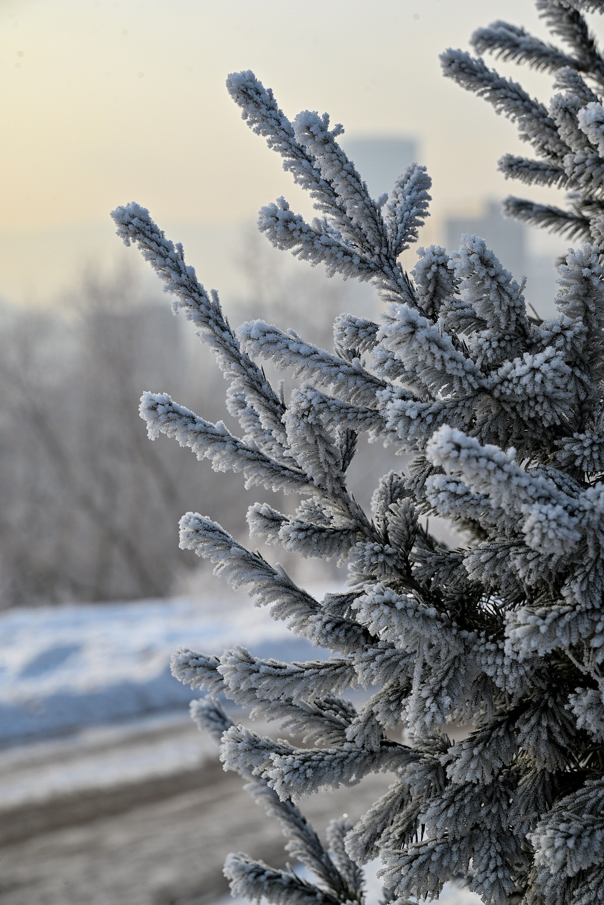 Сибирская зима прекрасна!. FotoGraf