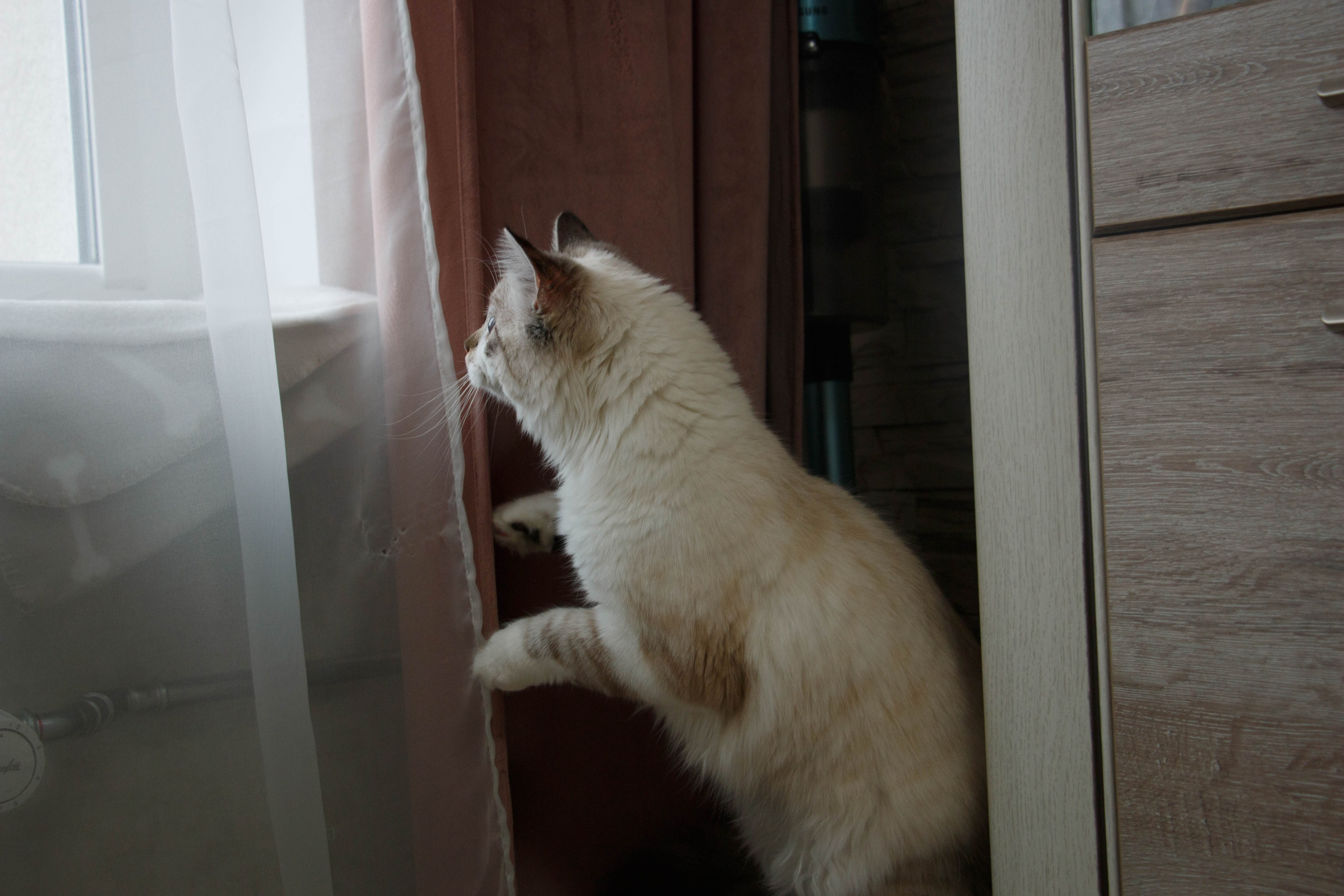 Kristina & Miya. Бережно сохраняю ваши чувства и истории на своих фотографиях