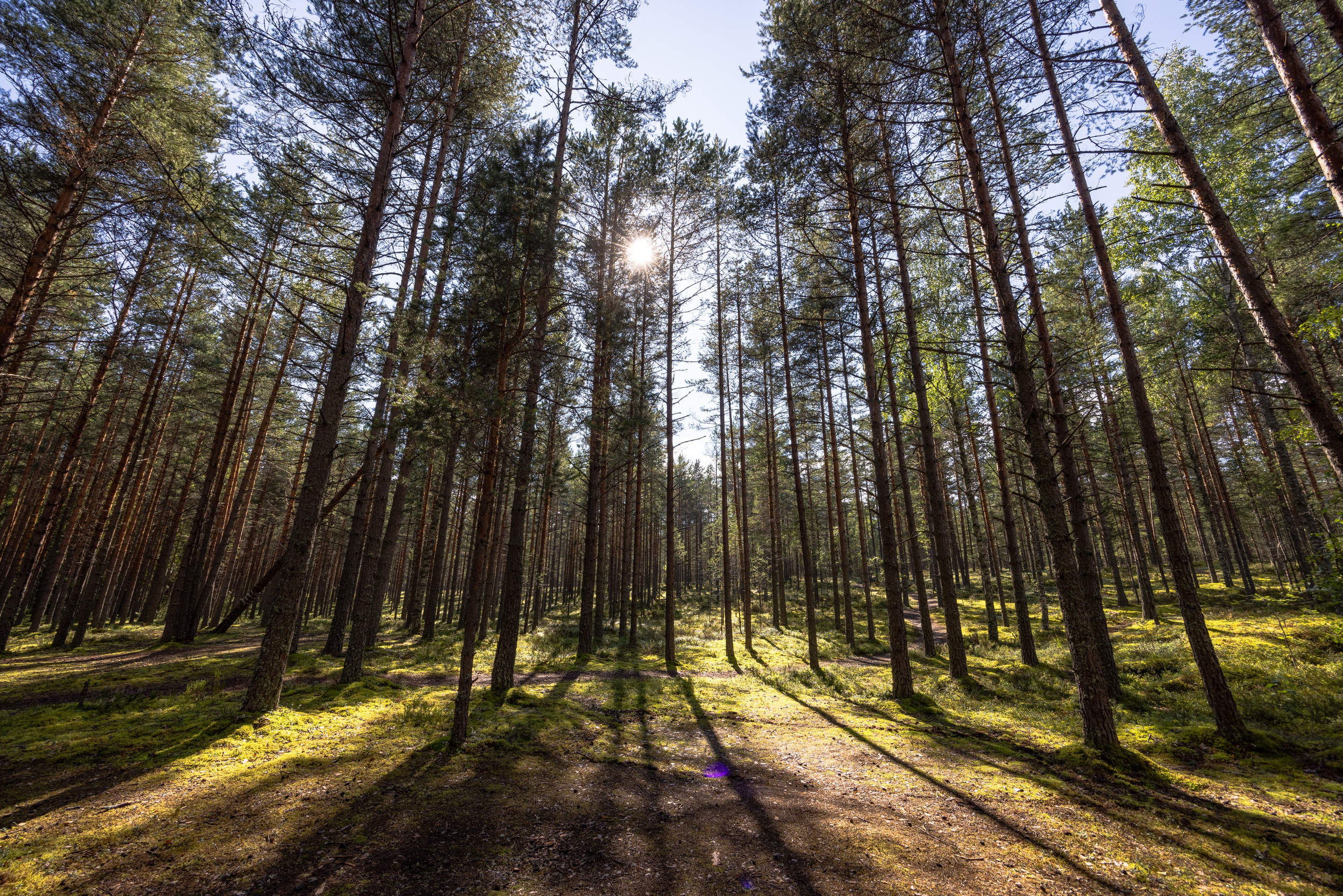 Ладога. Автомобильная фотография в Санкт-Петербурге