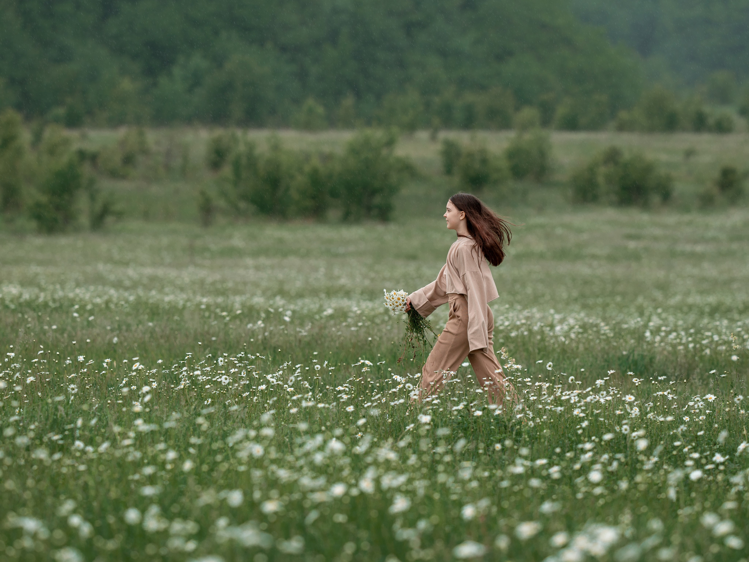 Фотосессия на ромашковом поле в Передовом в Крыму