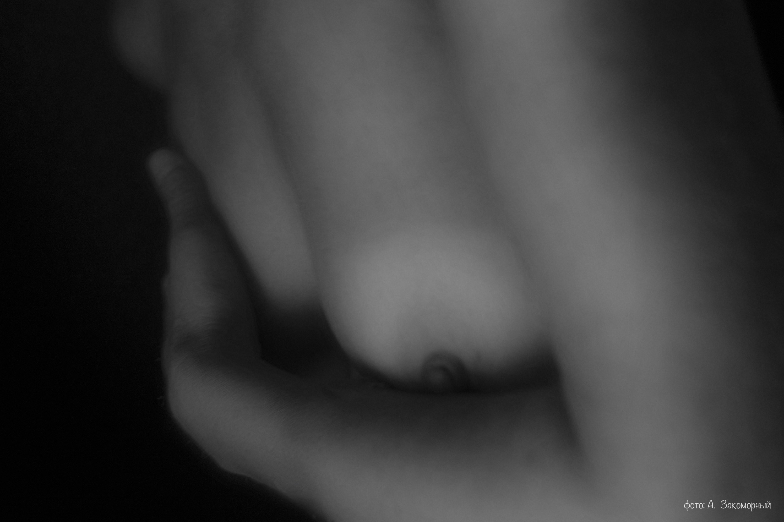 Свет открывает. Фотомастерская Андрея Закоморного