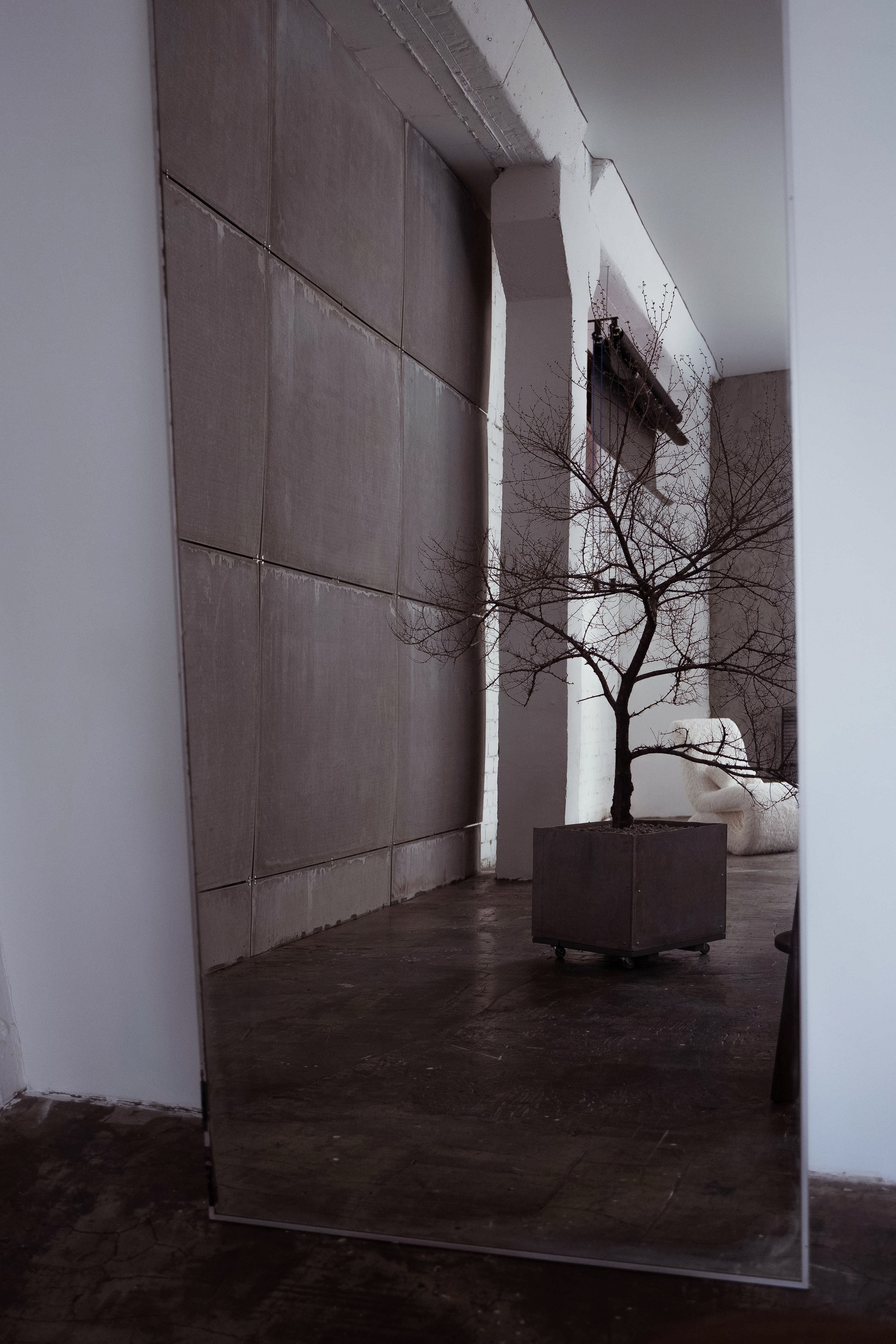 Грэй (студия Спутник). Фотограф г. Хабаровск. Семейные и индивидуальные съёмки