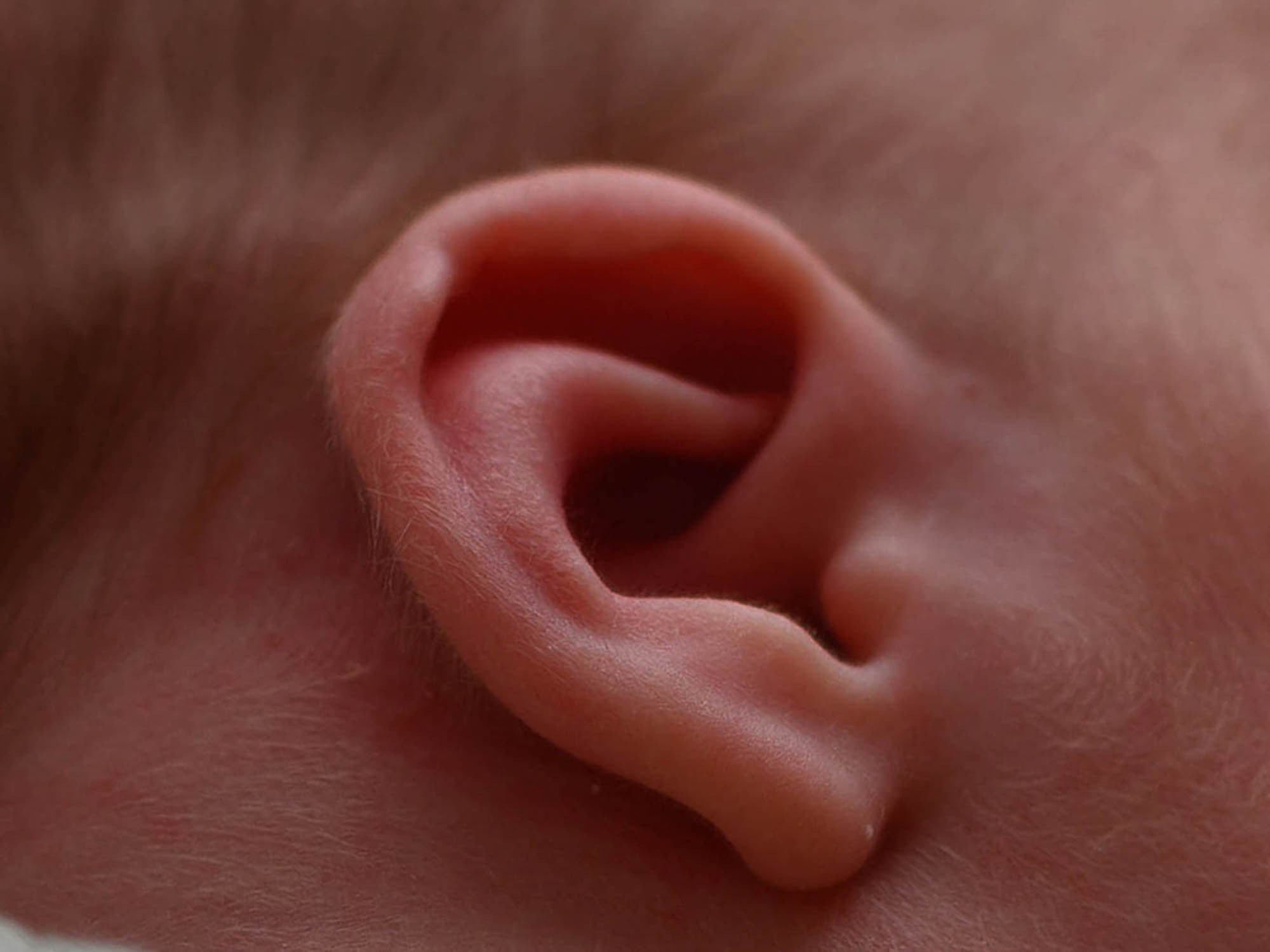 Фотосессия новорожденных — Покровка -Пакет Премиум+ 1 доп.кадр -Владимир. Фотограф новорожденных (ньюборн) в г. Уссурийске Приморский край Ирина Губанова