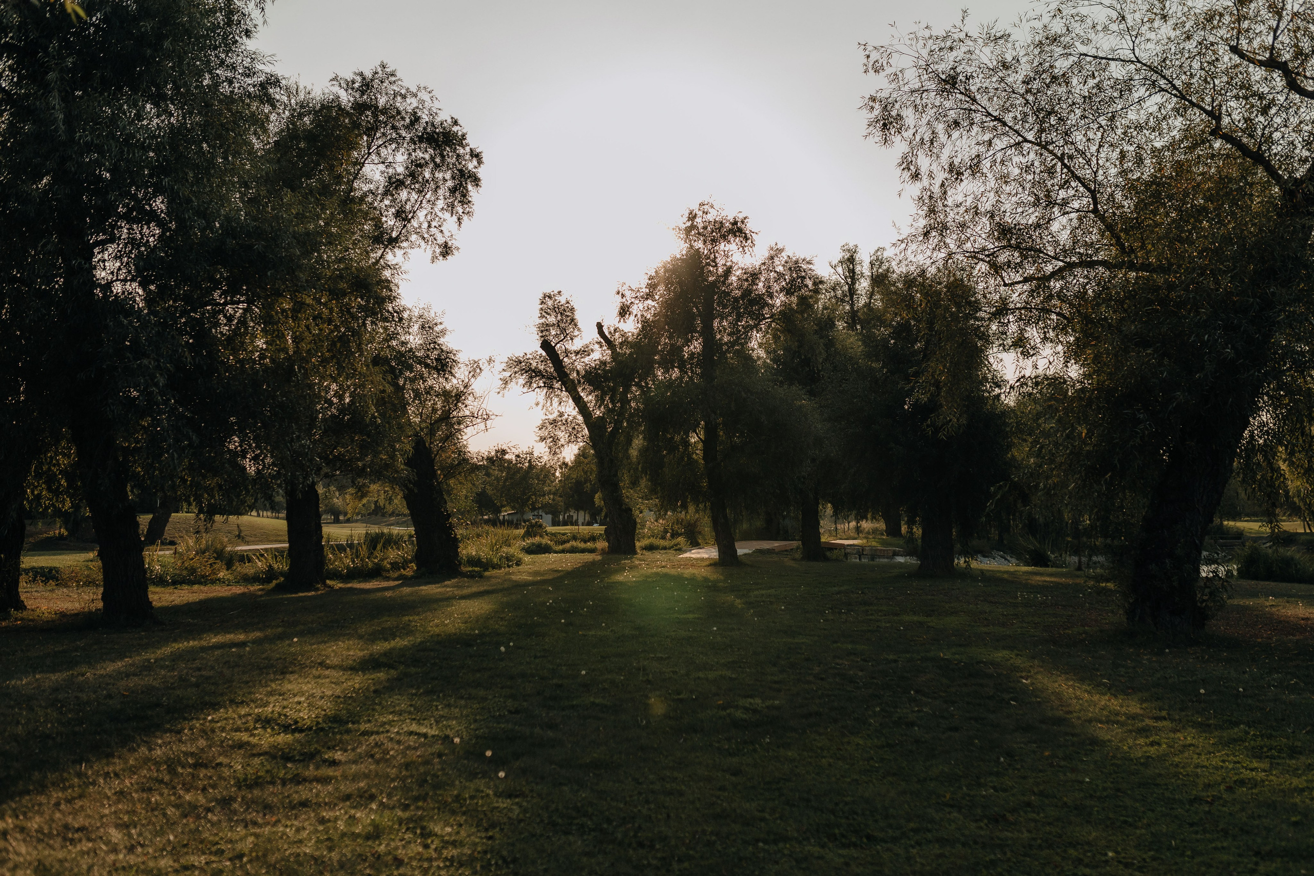 Свадьба Виктории и Александра. Фотограф Трифон Мира