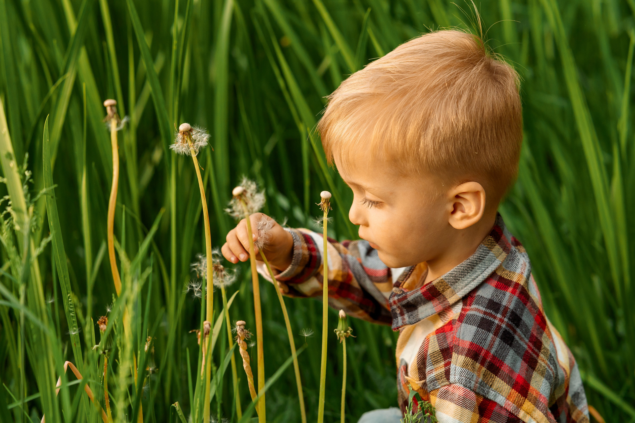Белое озеро