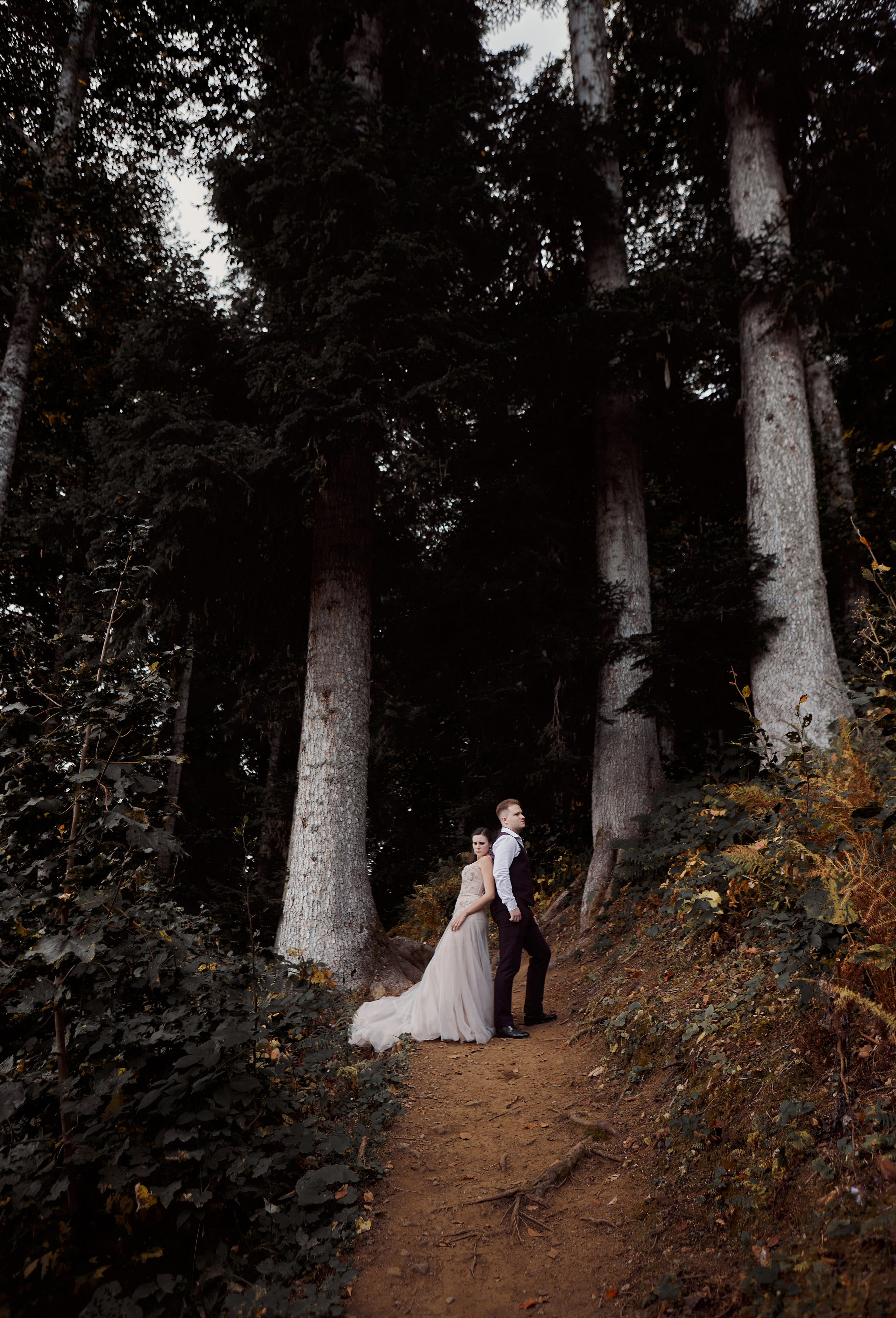 Свадебная фотосессия в горах. Свадебный и семейный фотограф в Сочи-Красной поляне Ларионова Анна