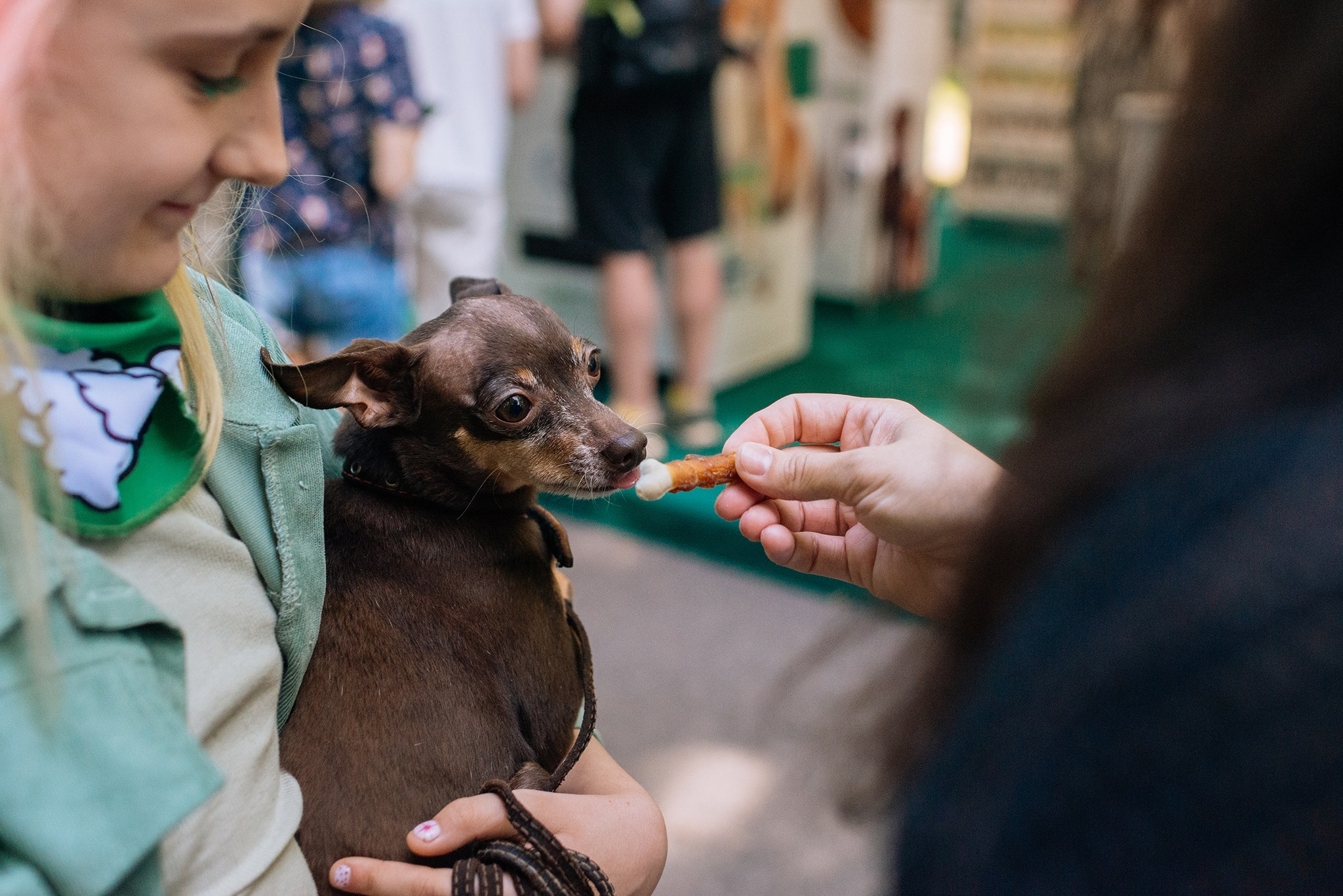 PETSHOP DAYS. Июнь 26. Репортажный фотограф в Санкт-Петербурге Анастасия Клёпова
