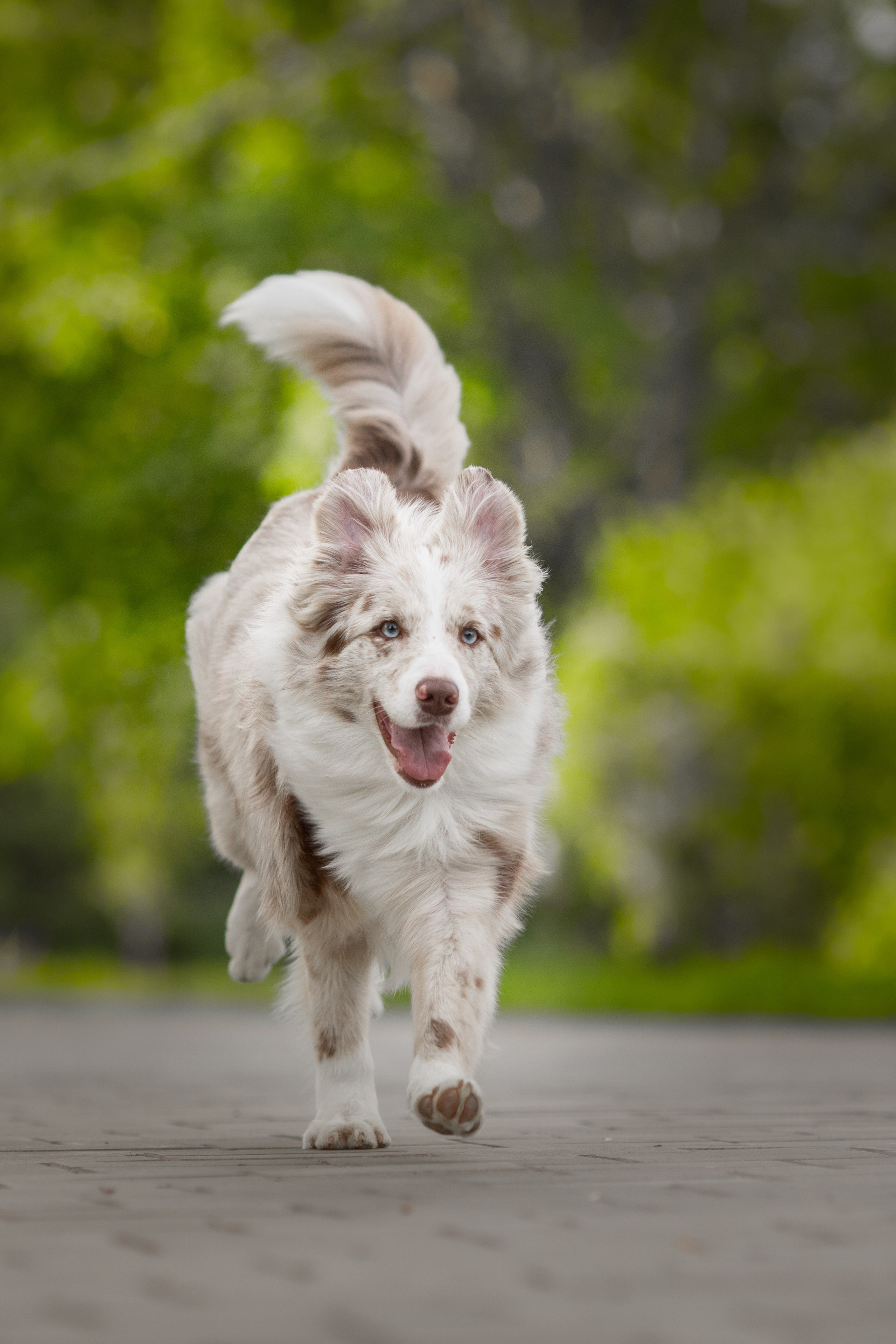 Роскошь в ростошах. О нас