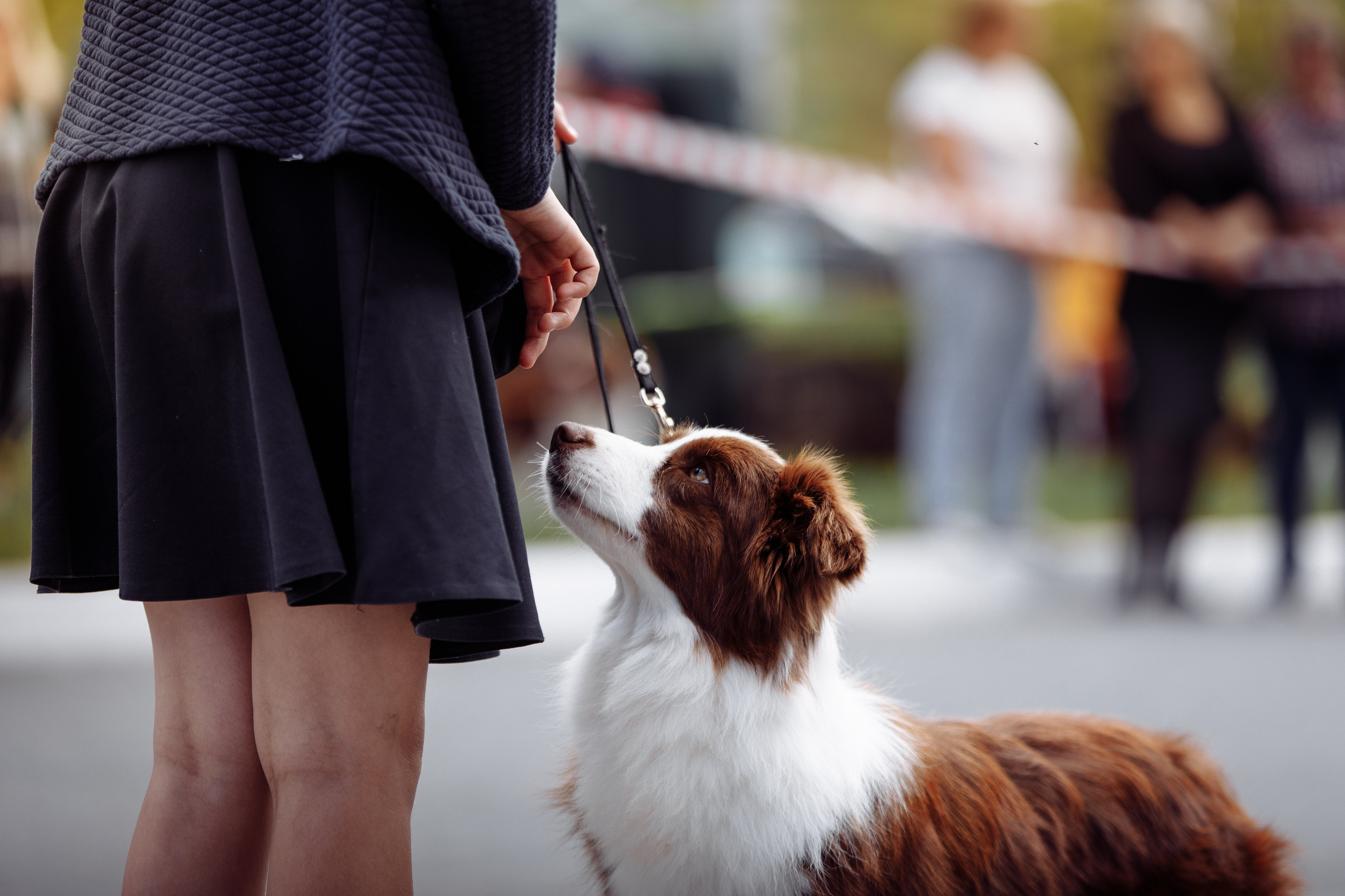 Оренбург с моно 22. О нас