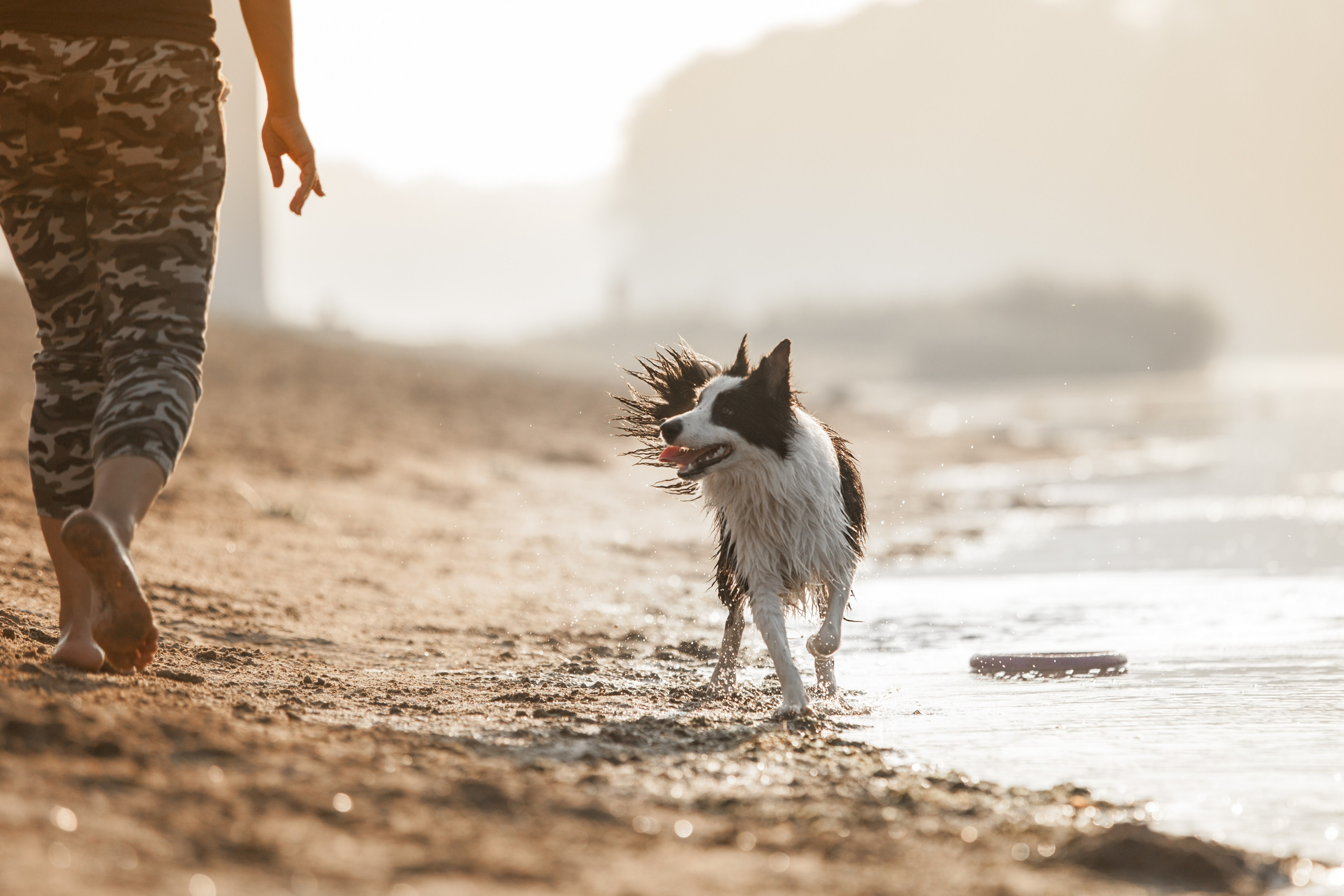 Сочный рассвет, на который решились. О нас