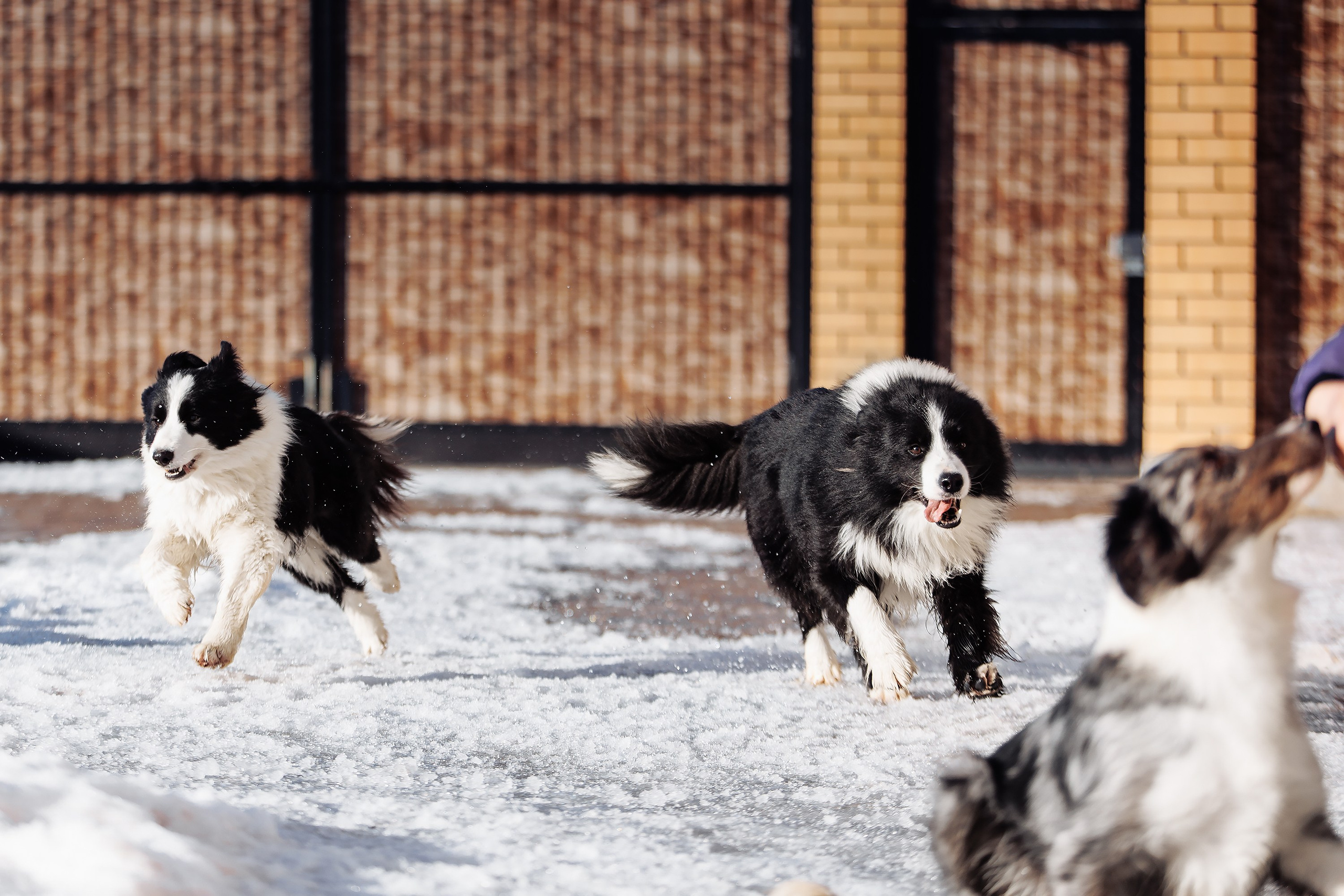 Пока таяло. О нас