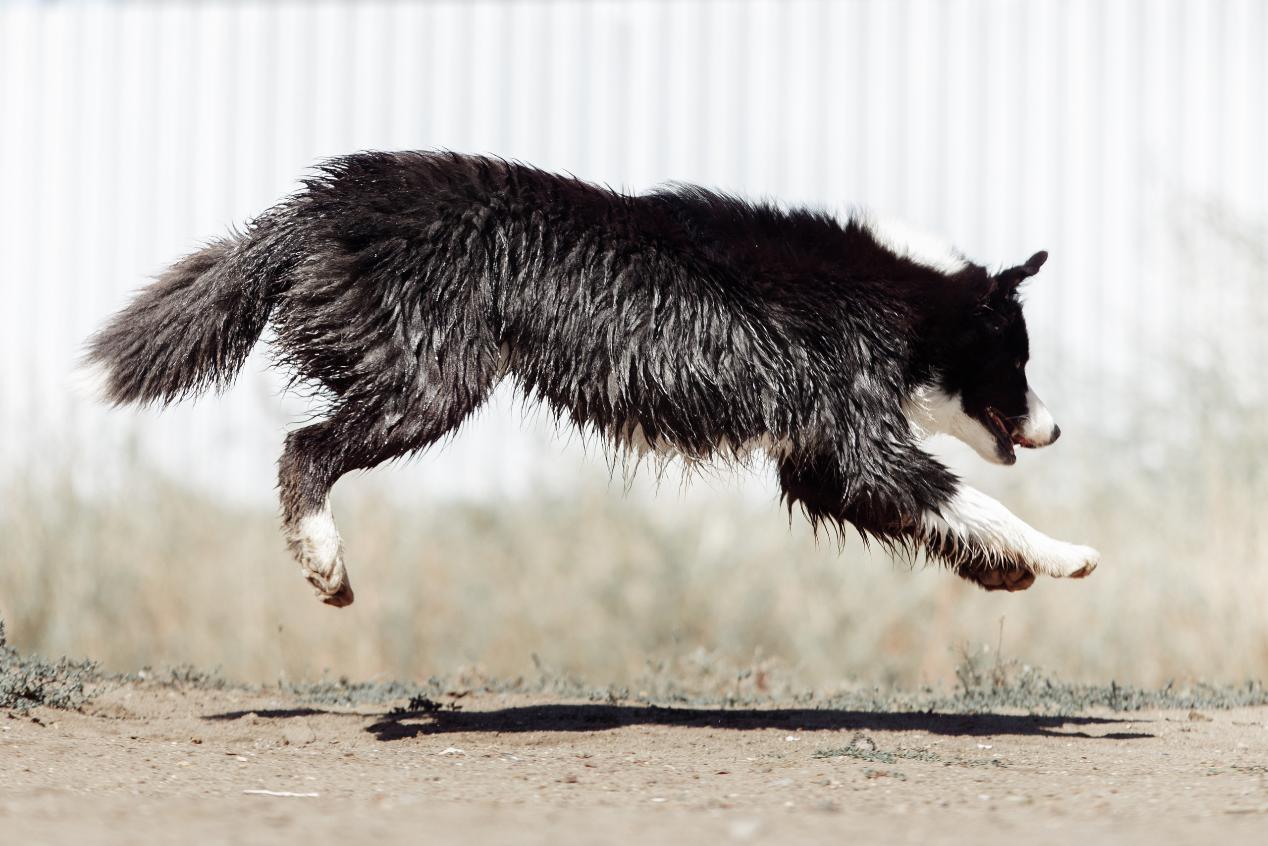 Водяные в Новотроицке. О нас