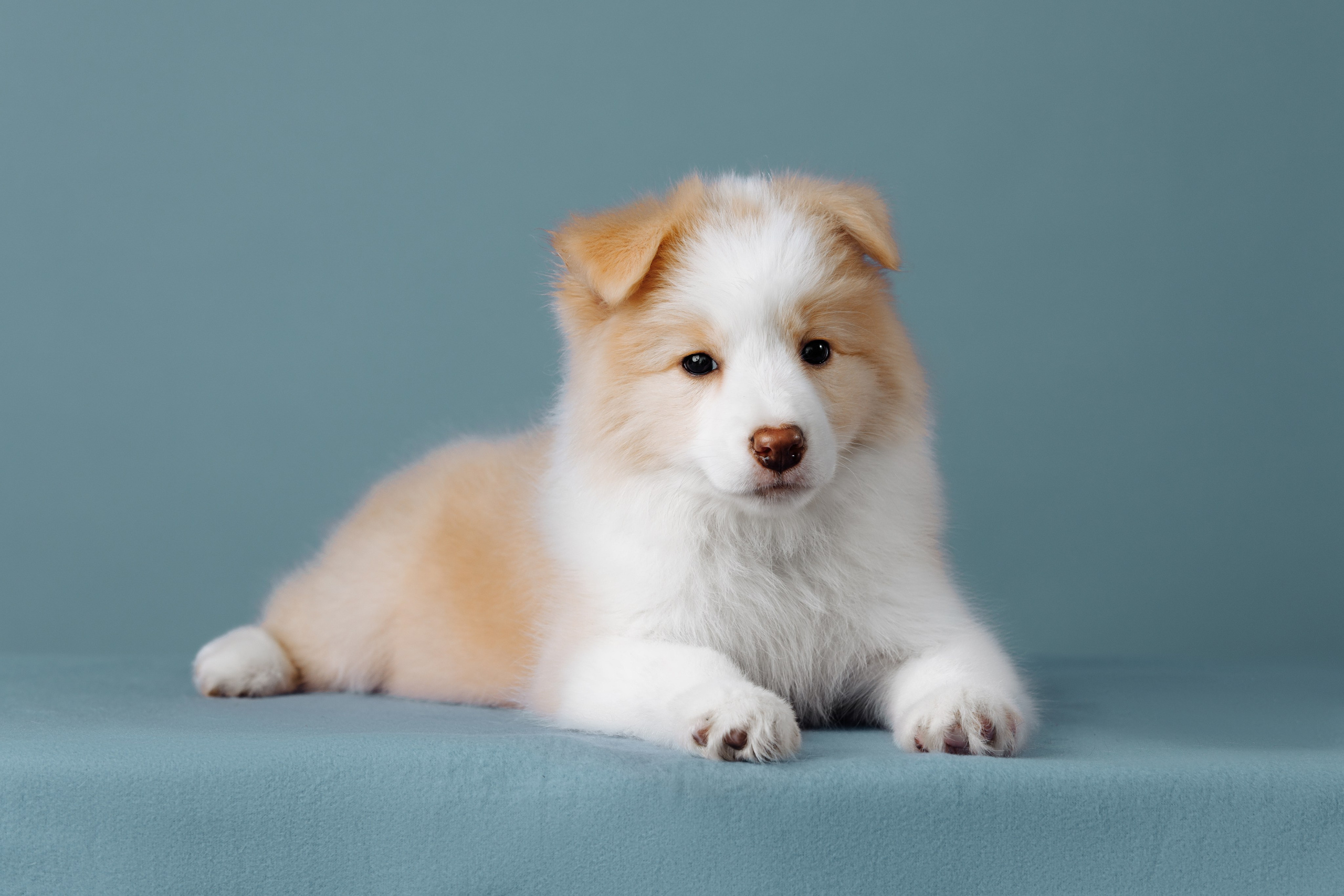 Март. Весна. 22. О нас