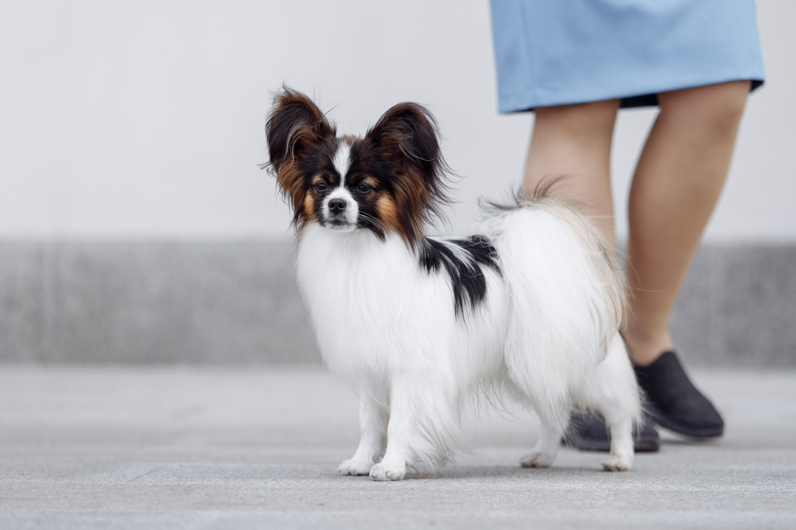 Магнитка 22. О нас