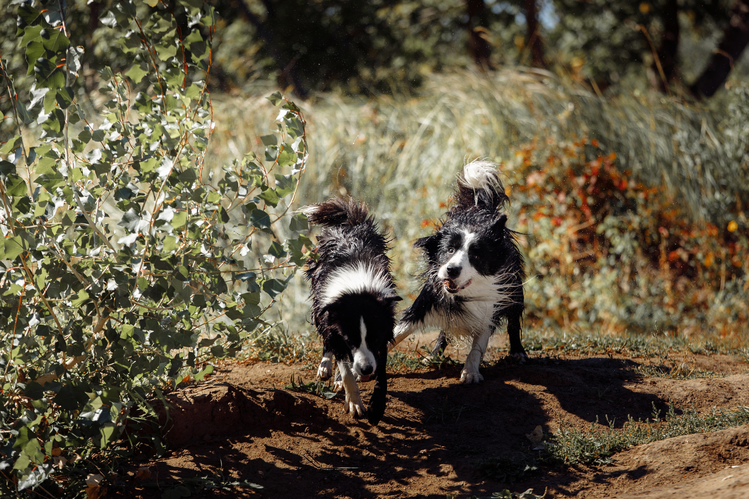 Водяные в Новотроицке. О нас