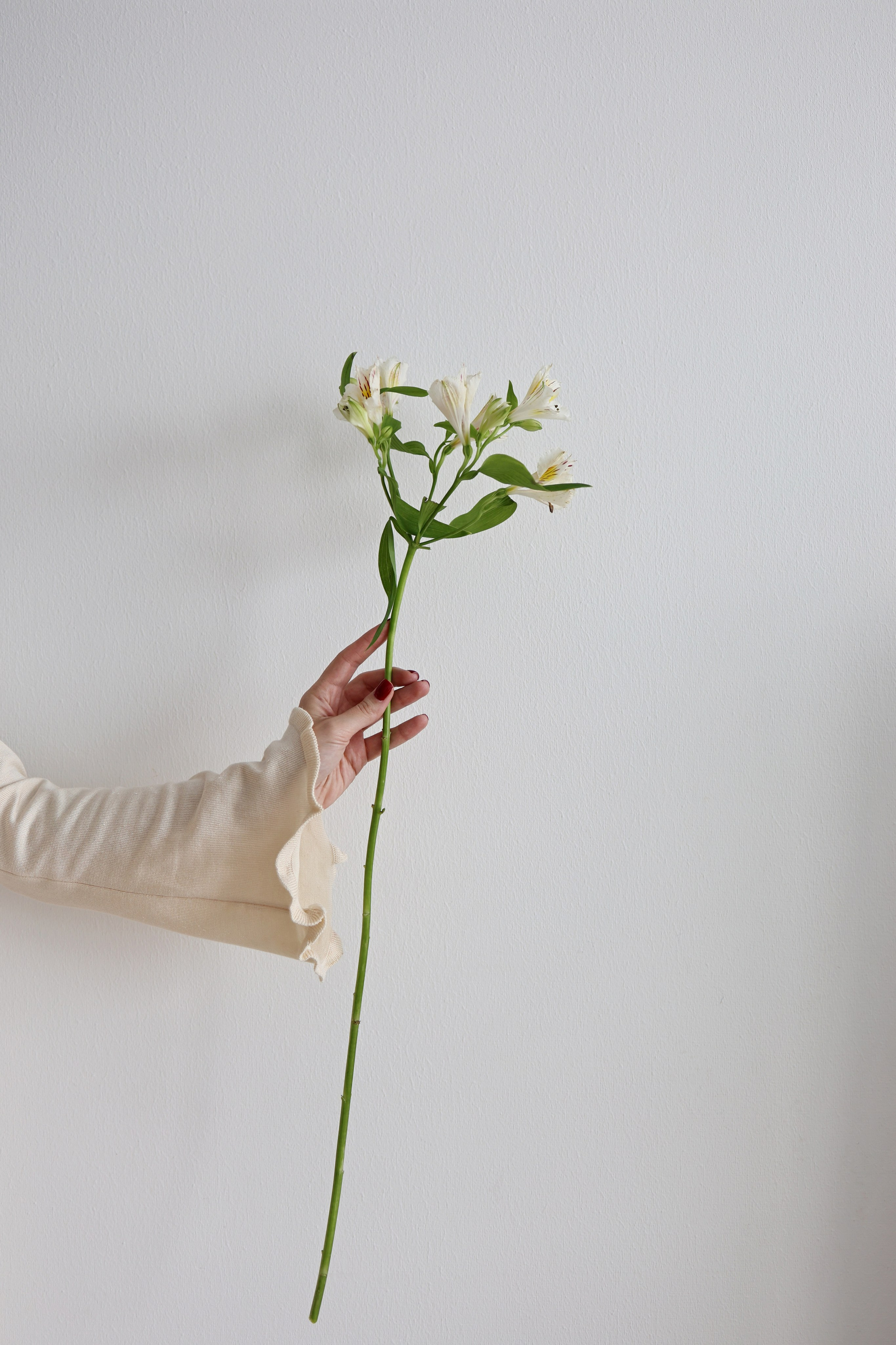 Карина. Свадебный и семейный фотограф в Воронеже Ксения Воротникова