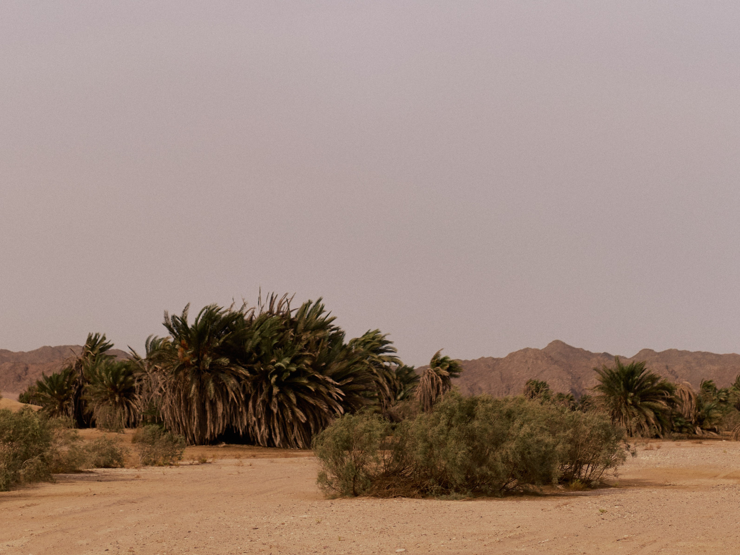 Улица горизонтальная. Jorgis — фотограф в Хургаде / обучение фотографии