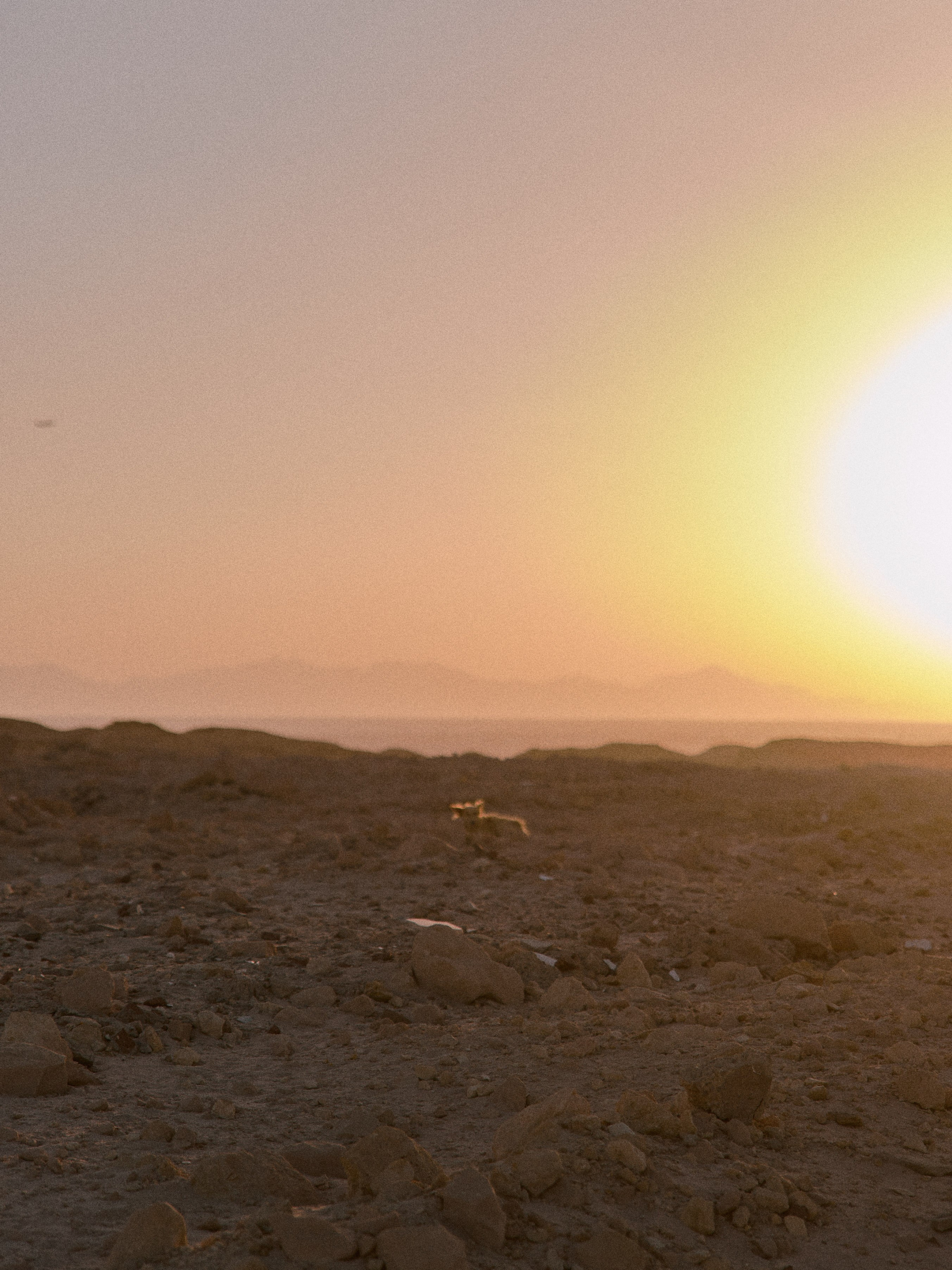 Улицы. Jorgis Talè — photographer, kind person, teacher of arts and other mag