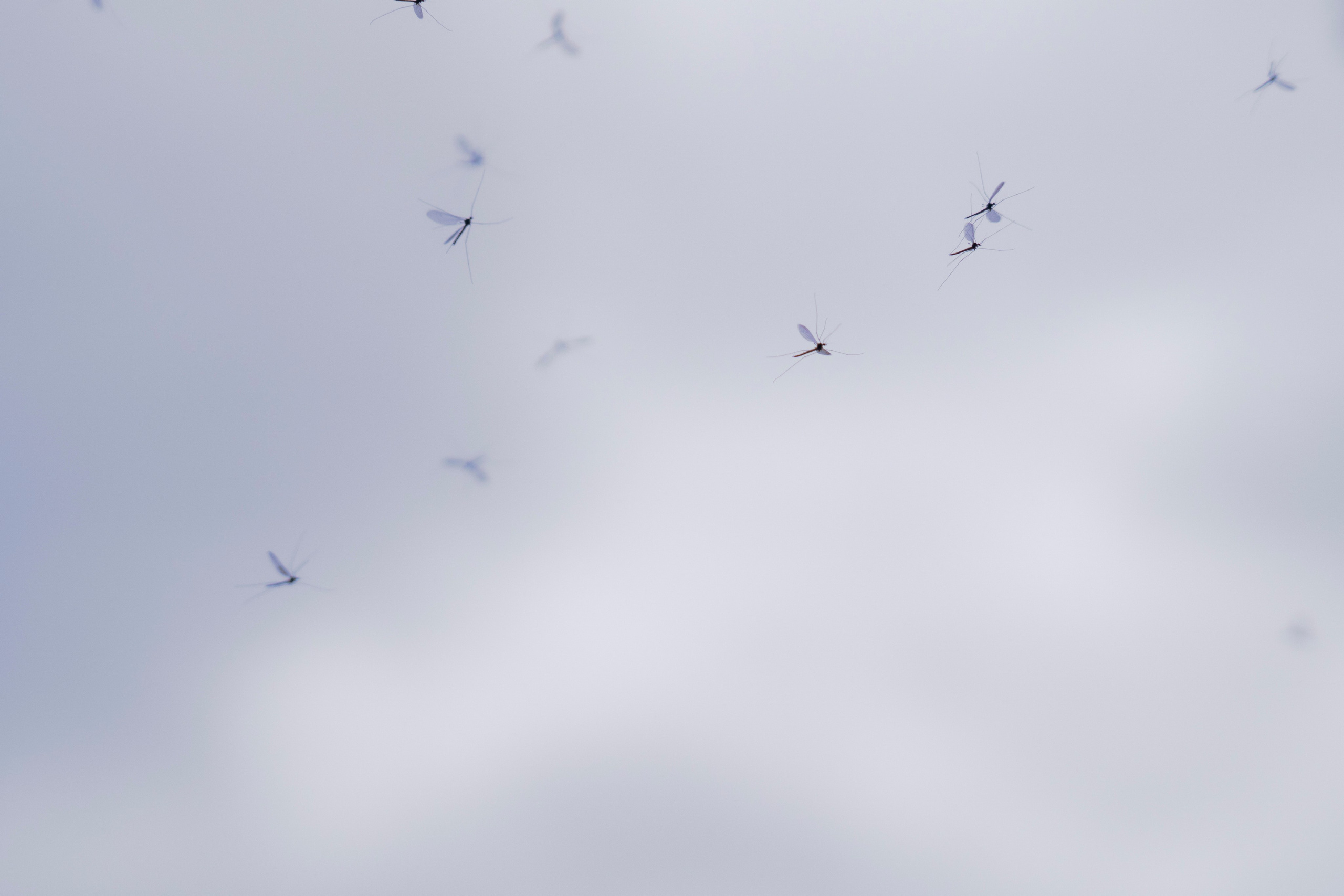 Молчановы. Многолетний проект о молодой семье. Фотограф в Москве Савкина Евгения