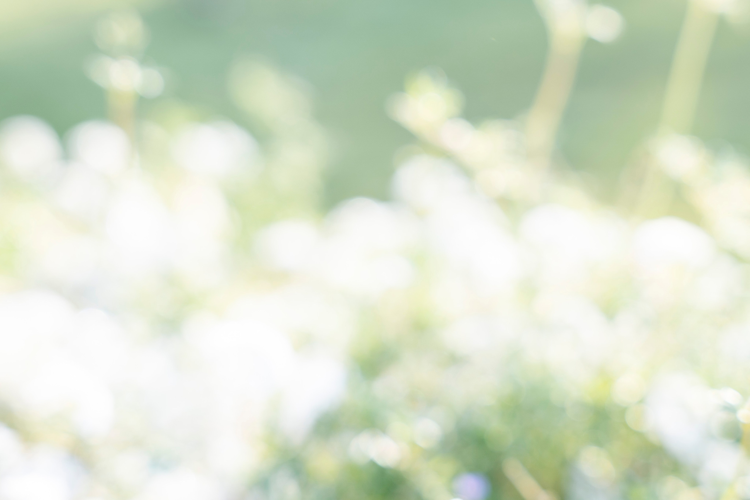 Разное неважное. Фотограф в Москве Алейникова Евгения